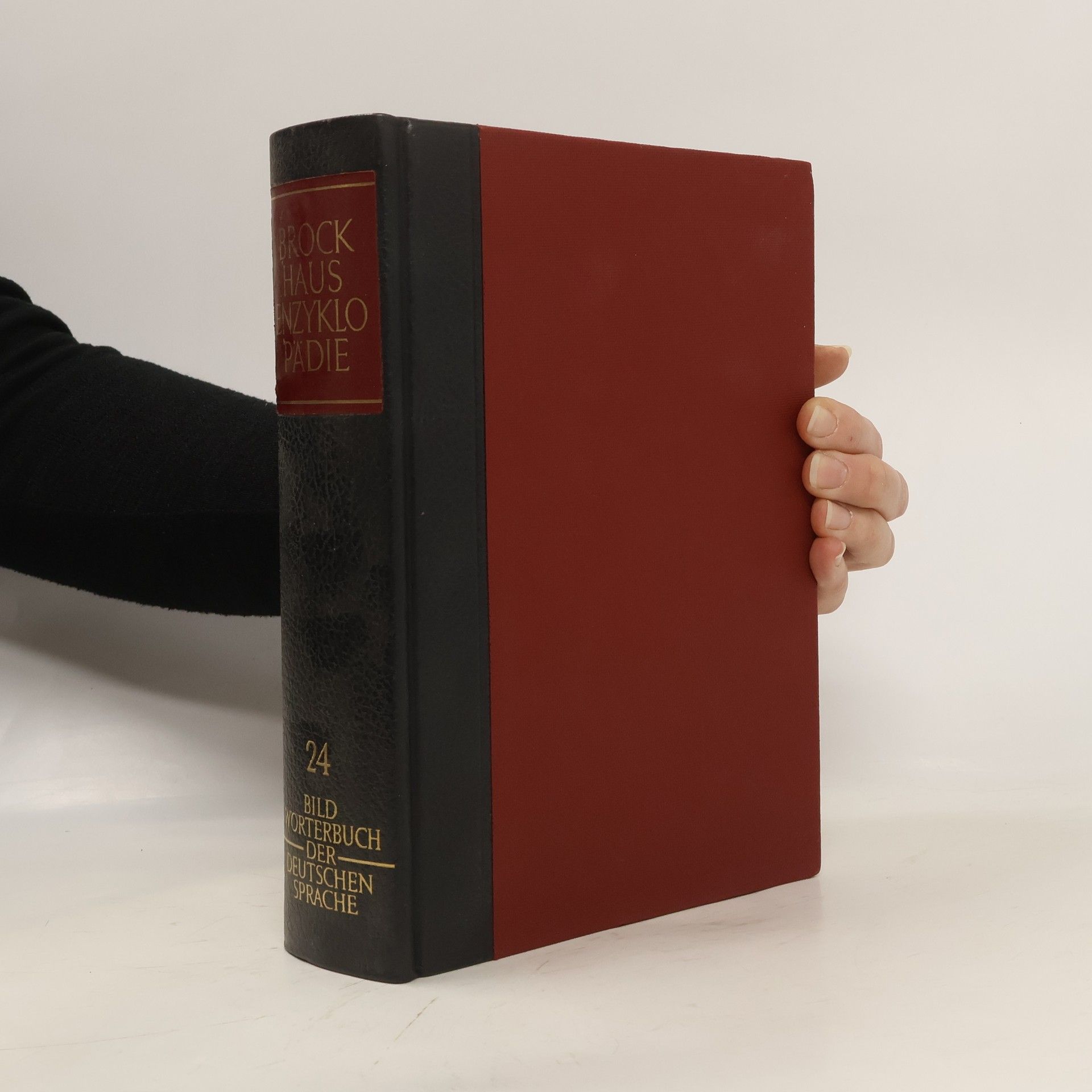 AA.VV. Brockhaus Enzyklopädie 24