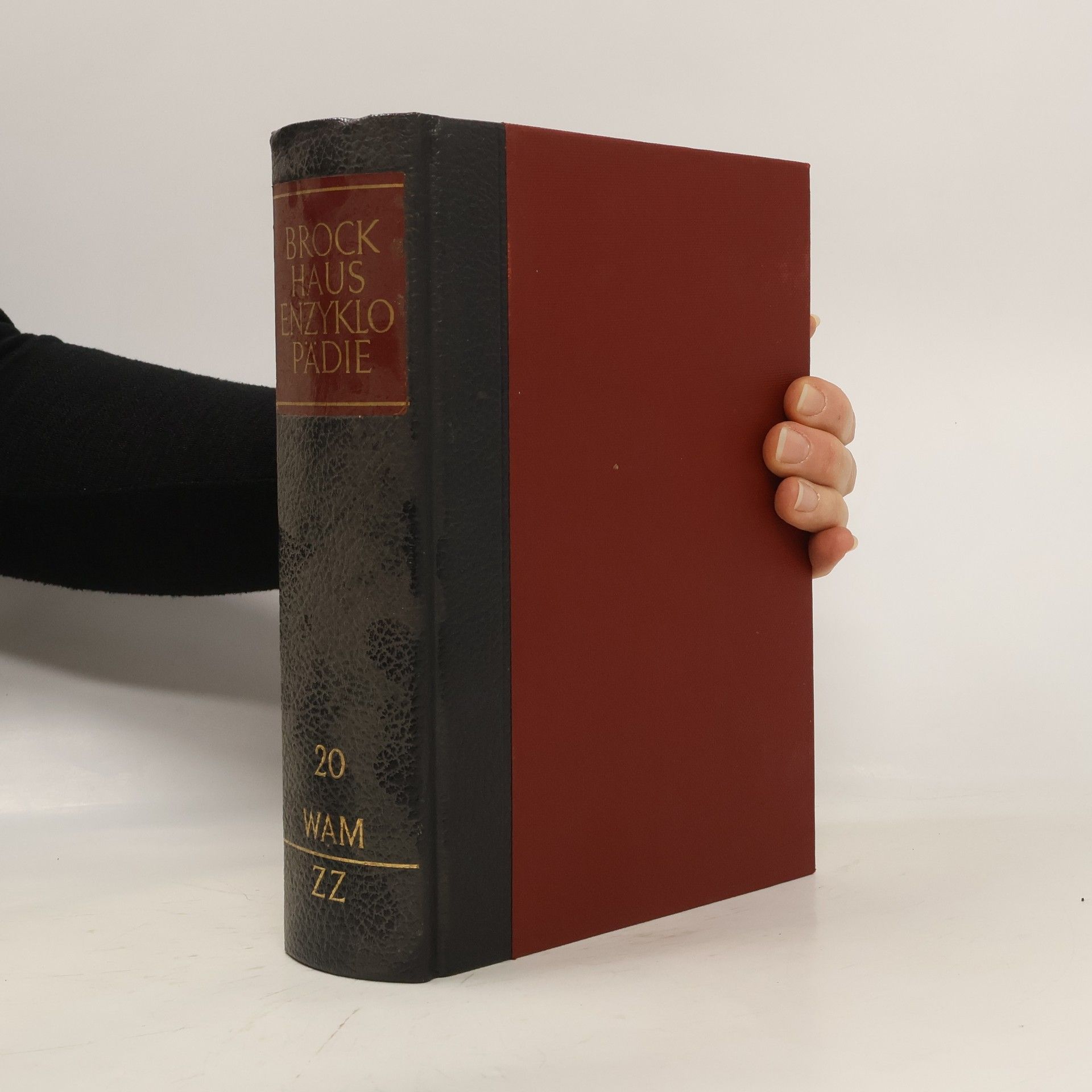 Autorenkollektiv Brockhaus Enzyklopädie 20