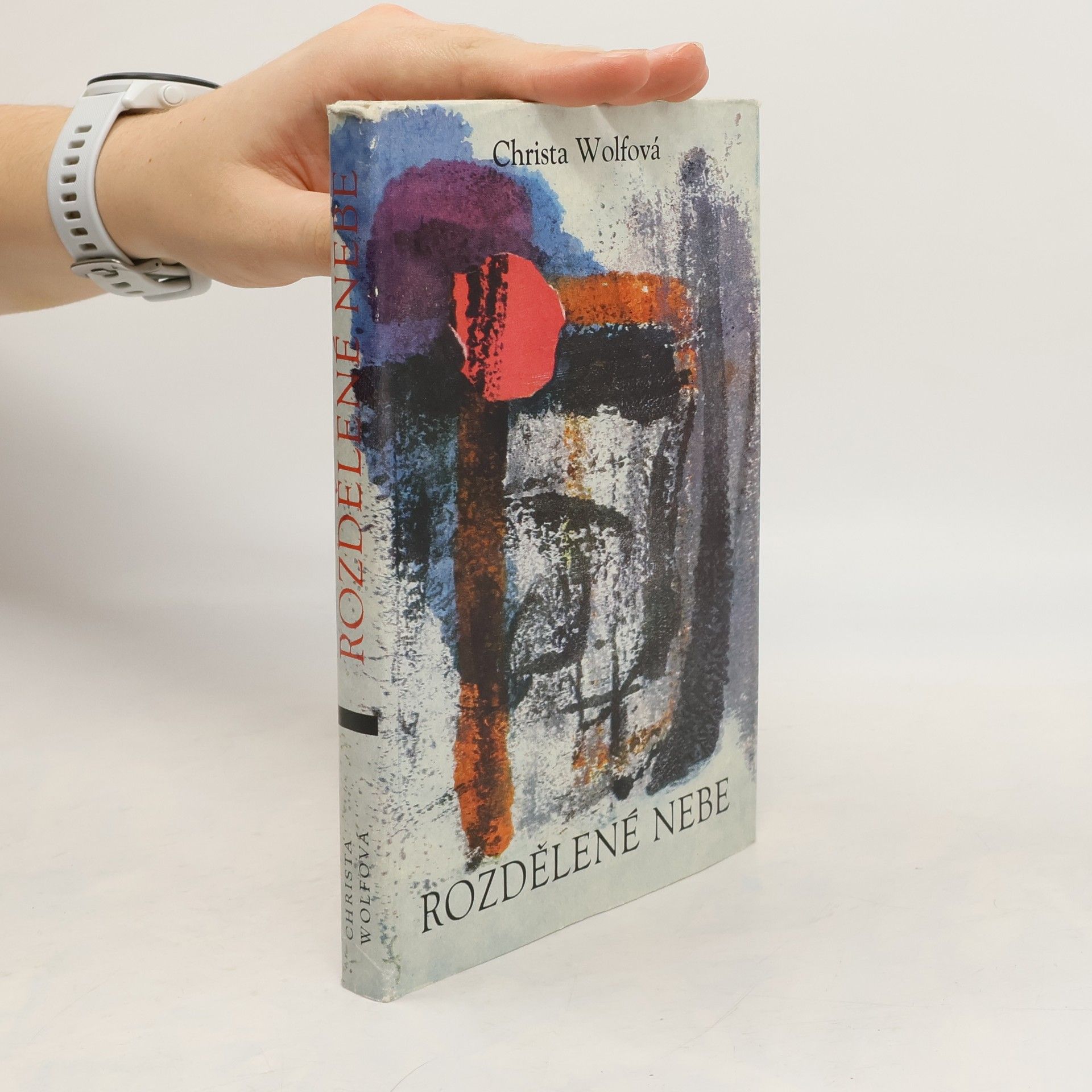 Christa Wolf Rozdělené nebe