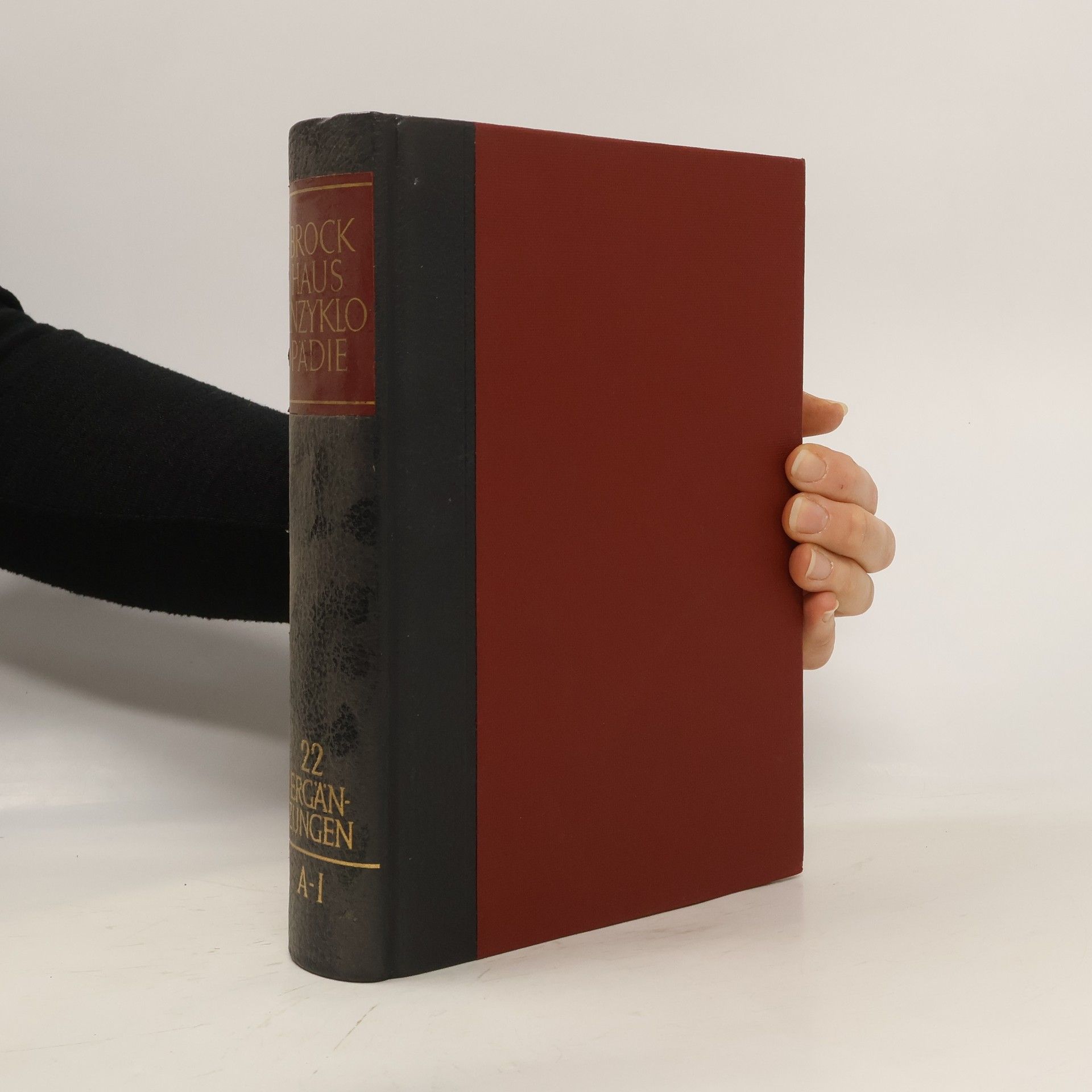 Autorenkollektiv Brockhaus Enzyklopädie. Band 22. Ergänzungen A-I