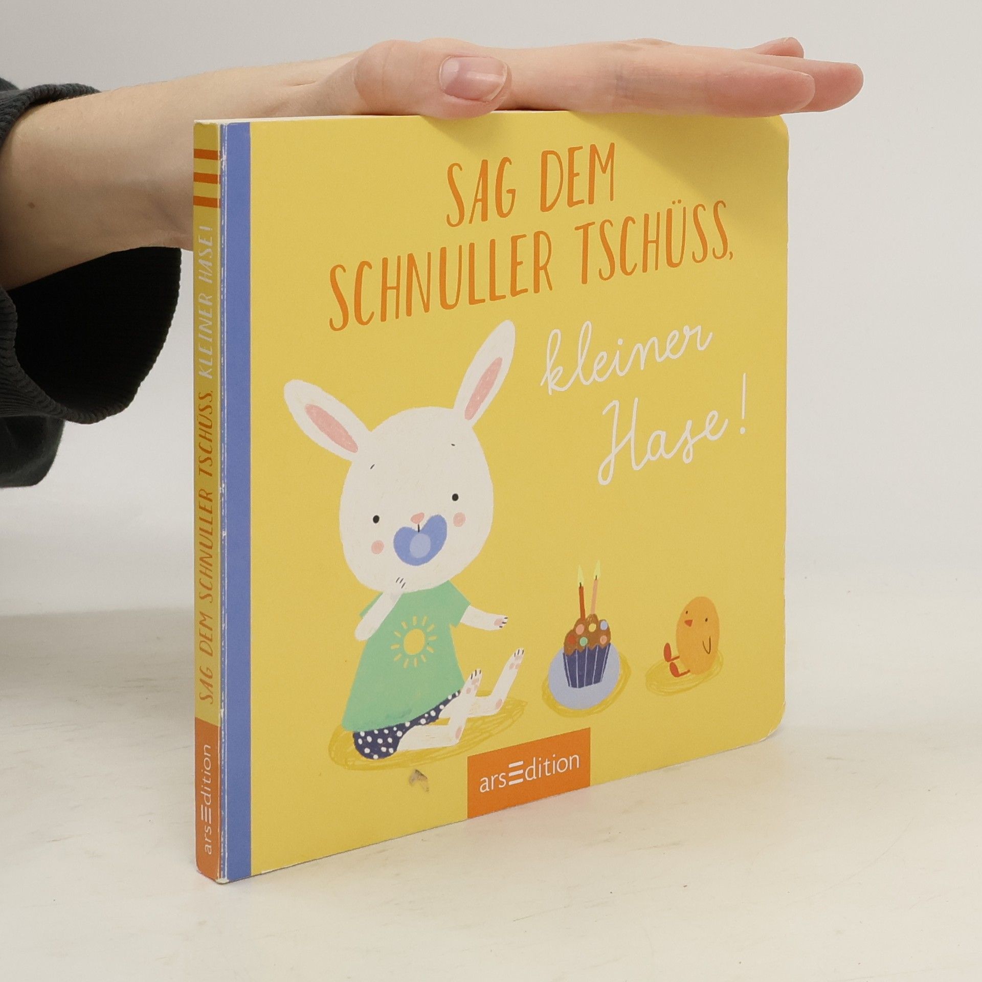 Tina Schulte Sag dem Schnuller Tschüss, kleiner Hase!