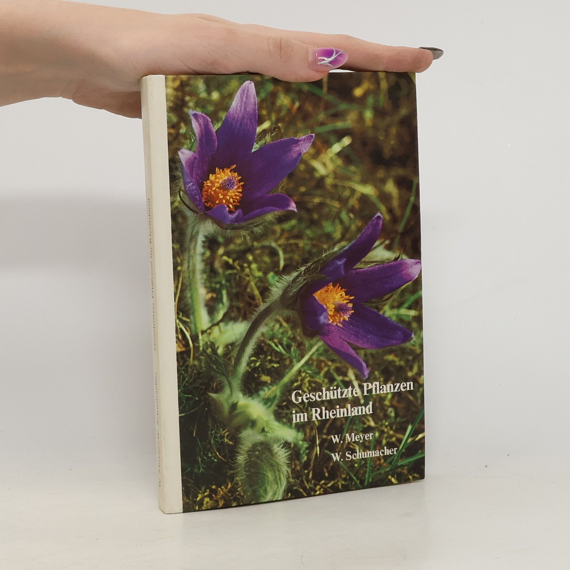 Wilhelm Meyer Geschützte Pflanzen im Rheinland