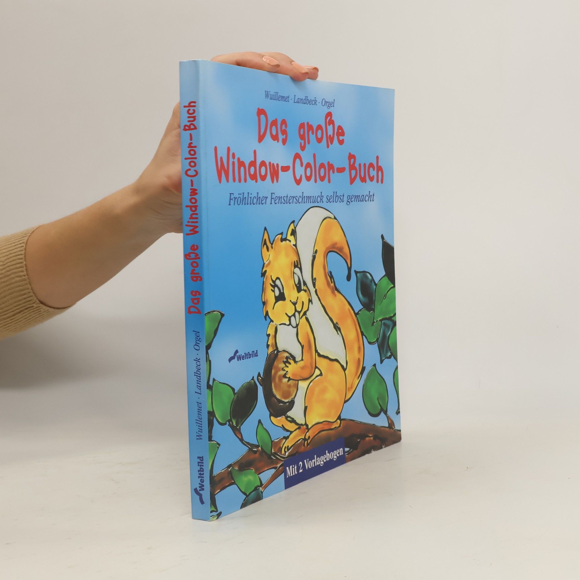Autorenkollektiv Das große Window-Color-Buch