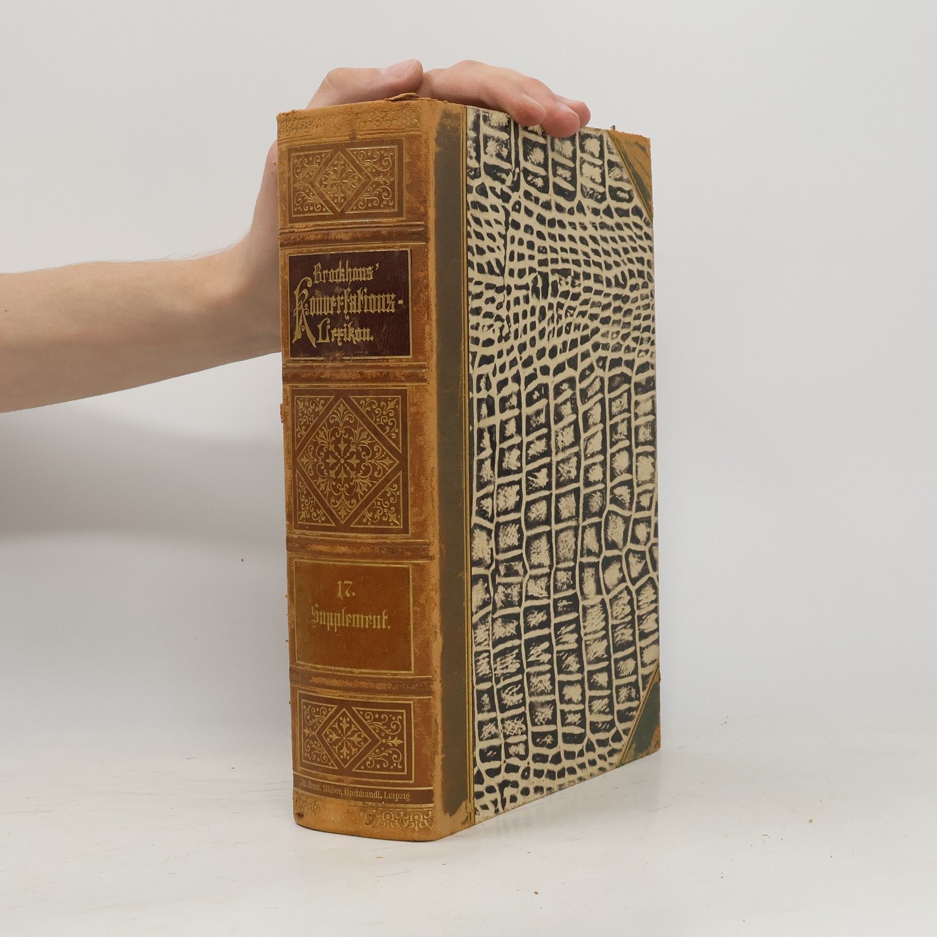 Kolektiv autorů Brockhaus' Konversations-Lexikon 17