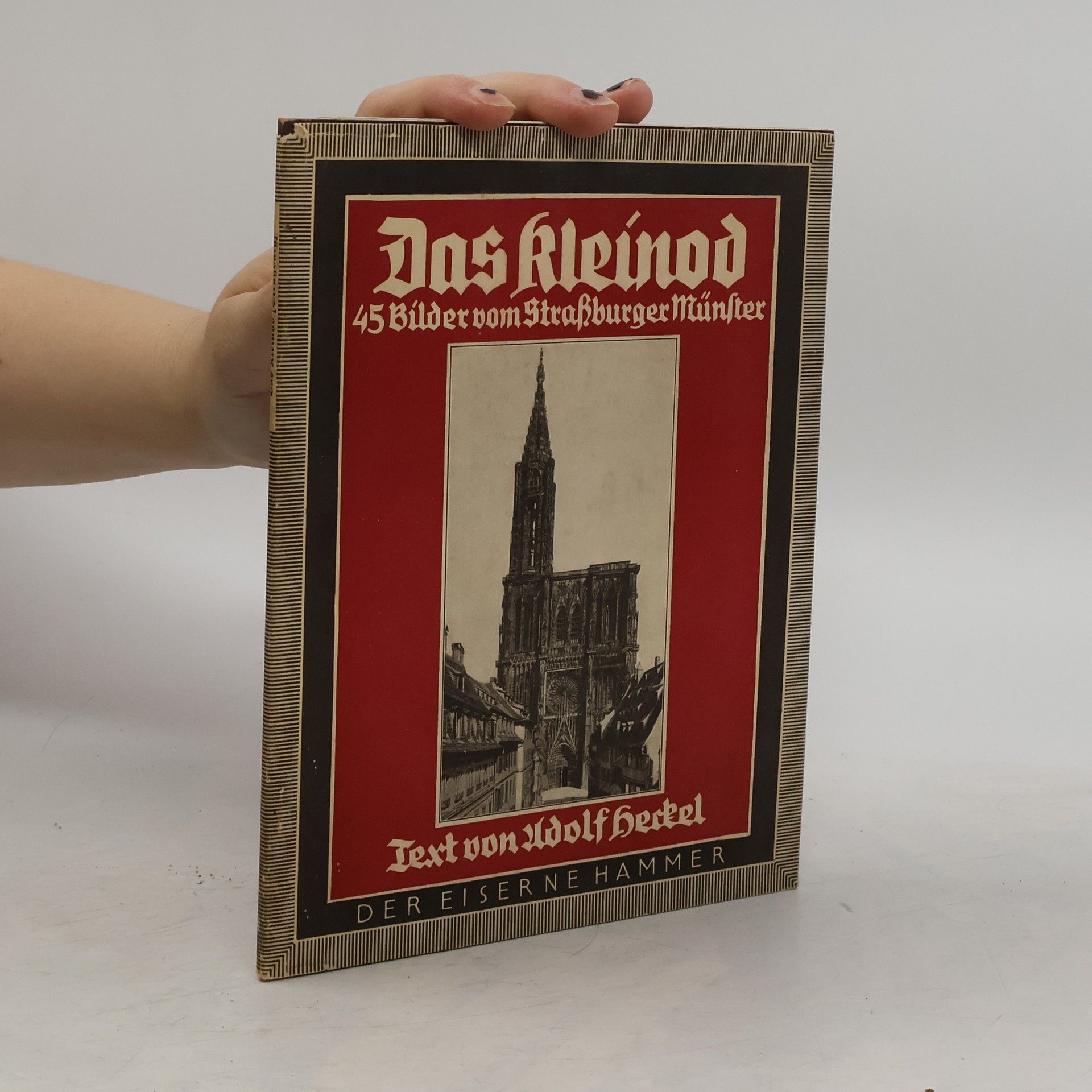 Autorenkollektiv Das Kleinod: 45 Bilder vom Straßburger Münster