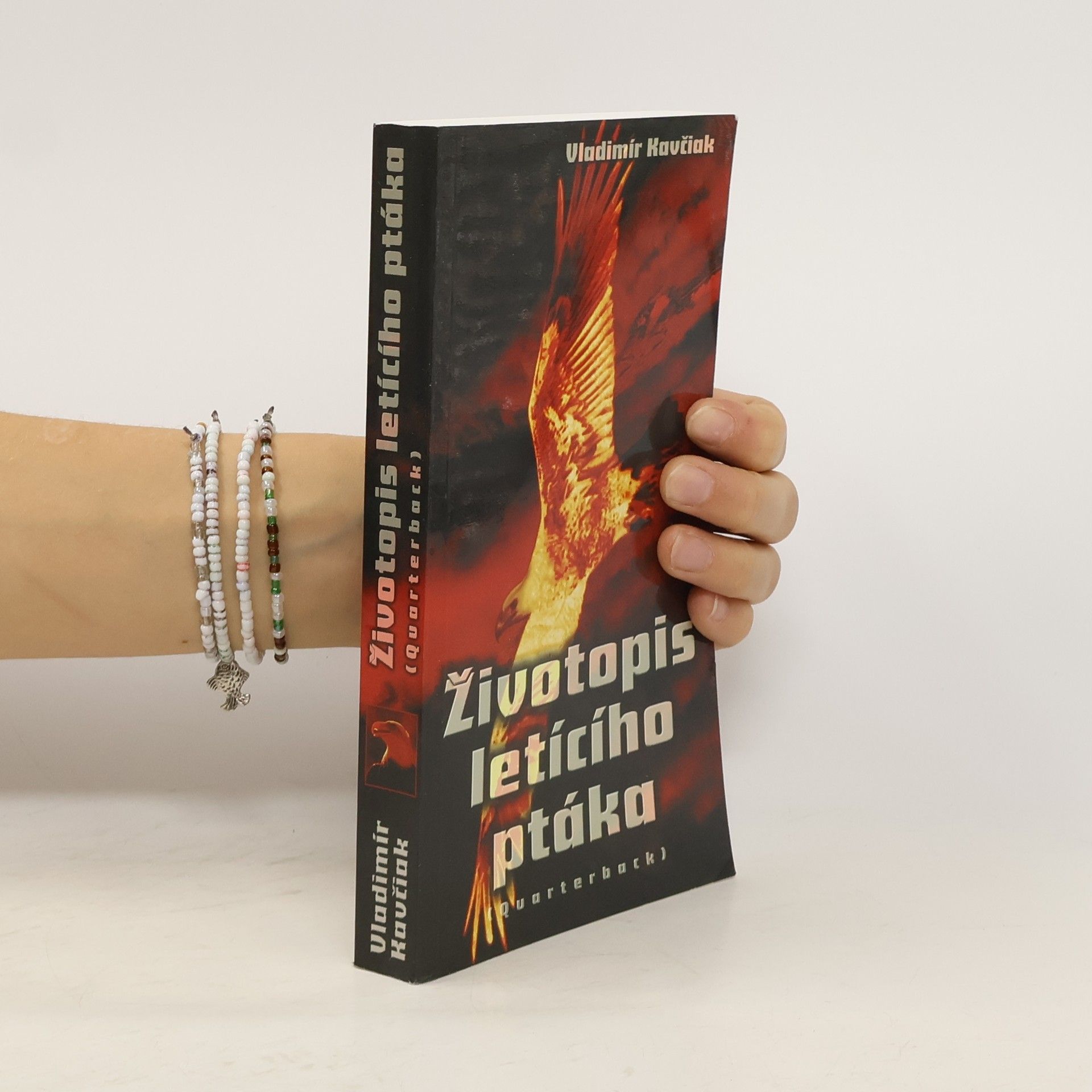 Vladimír Kavčiak Životopis letícího ptáka