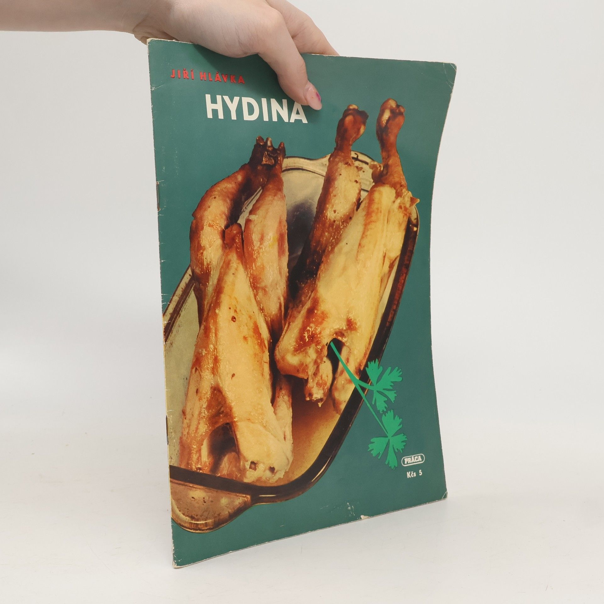 Jiří Hlávka Hydina