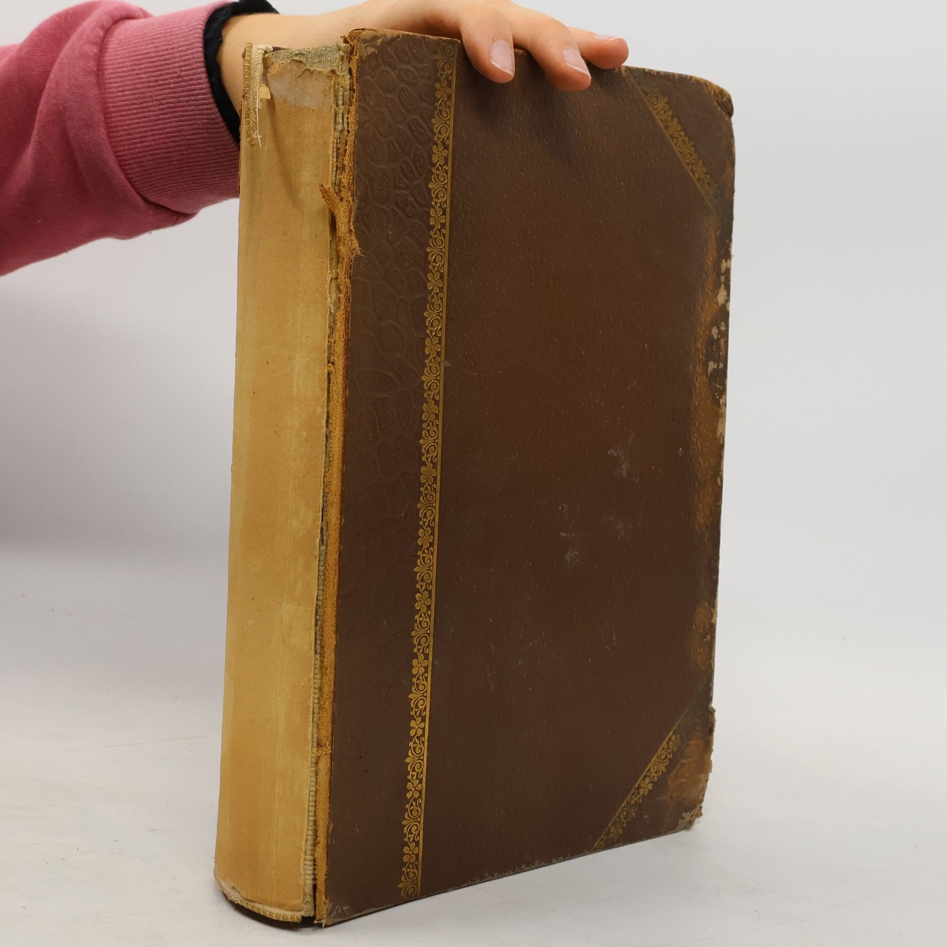 Kolektiv autorů Brockhaus' Konversations-Lexikon 3. Bill - Catulus