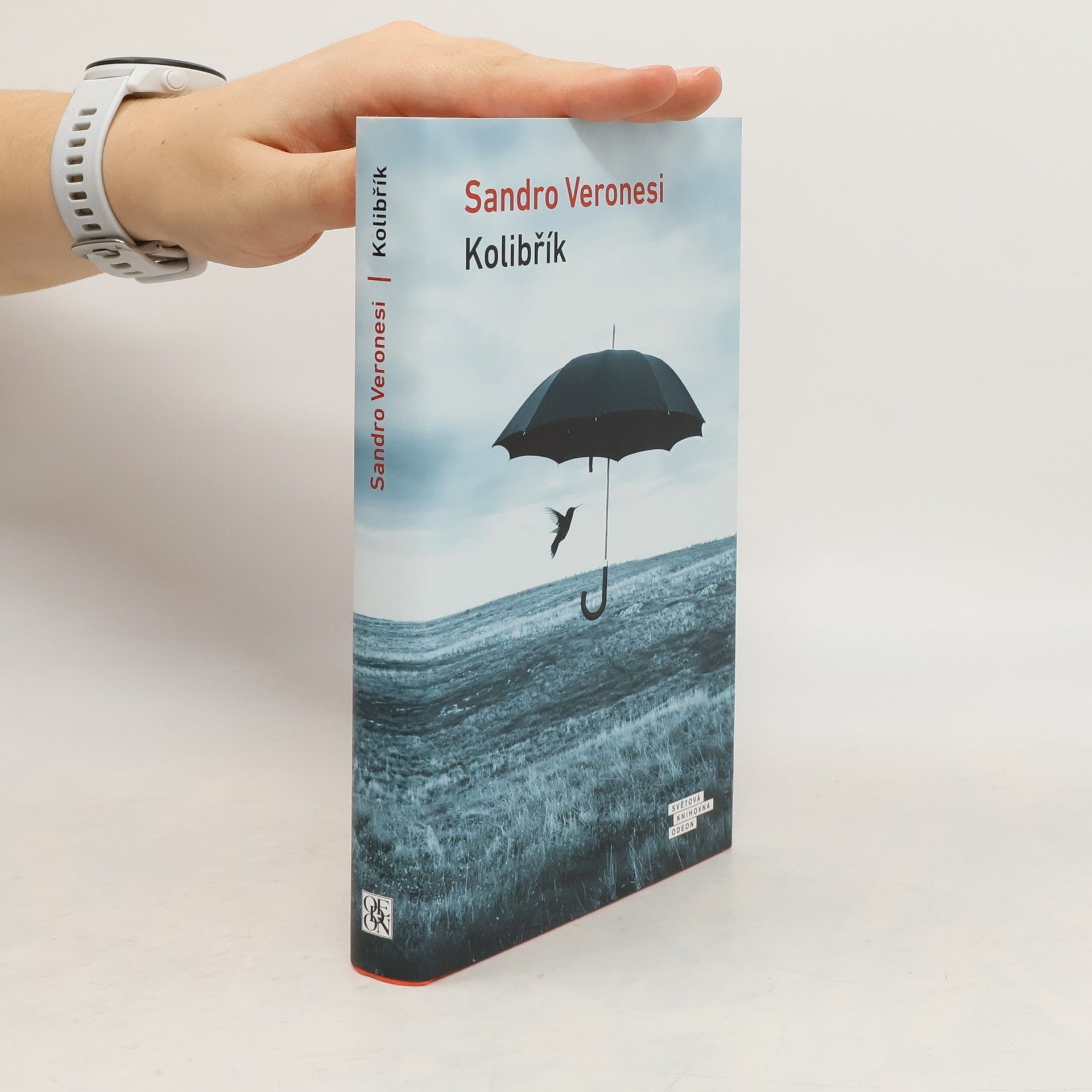 Sandro Veronesi Kolibřík