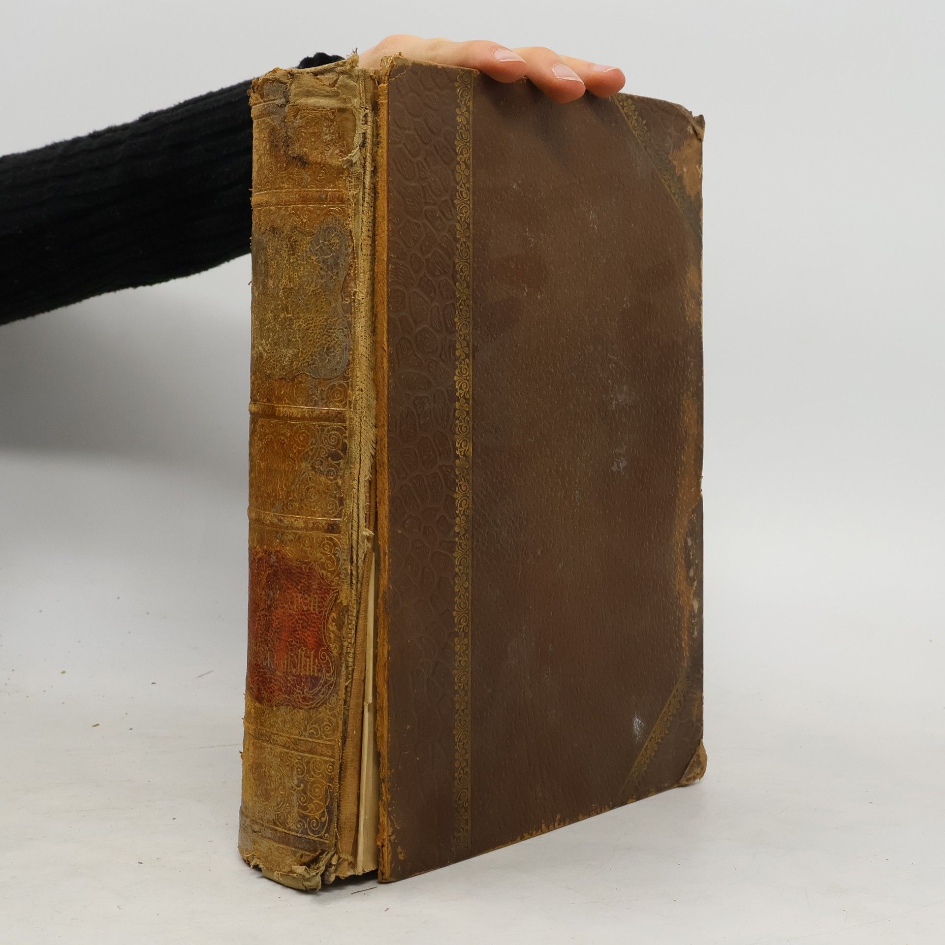 Collectif d'auteurs Brockhaus' Konversations-Lexikon 5