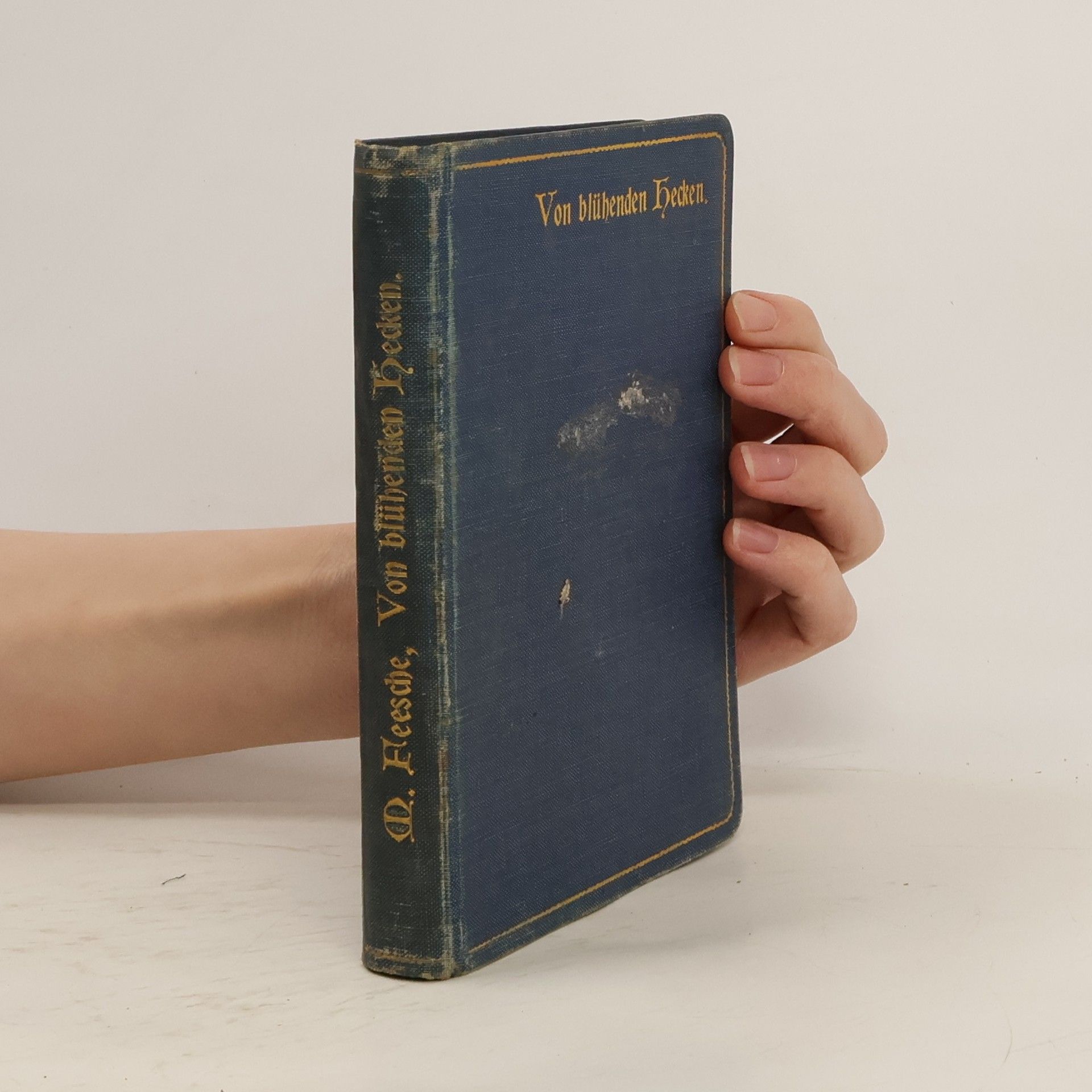 Von blühenden Hecken