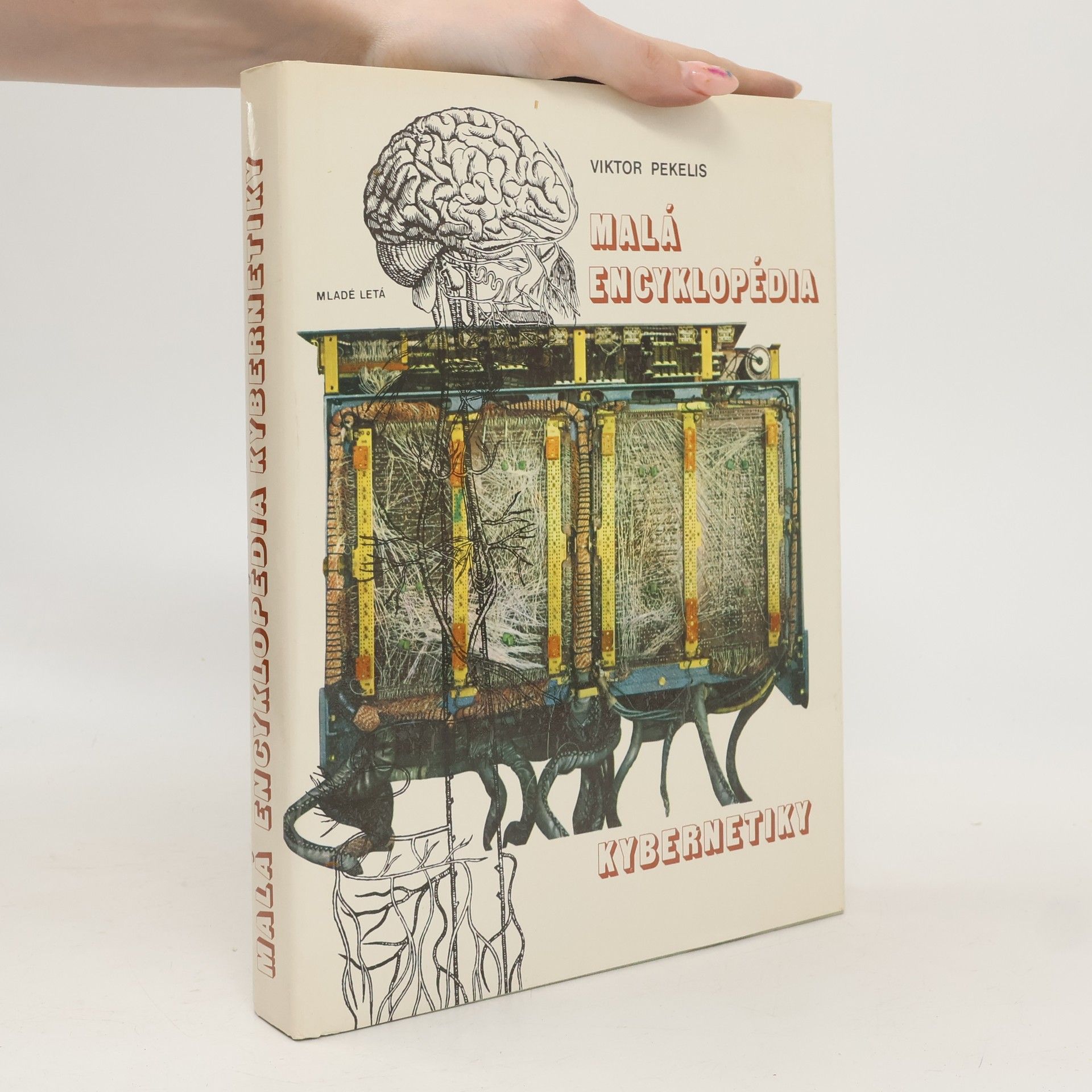 Malá encyklopédia kybernetiky