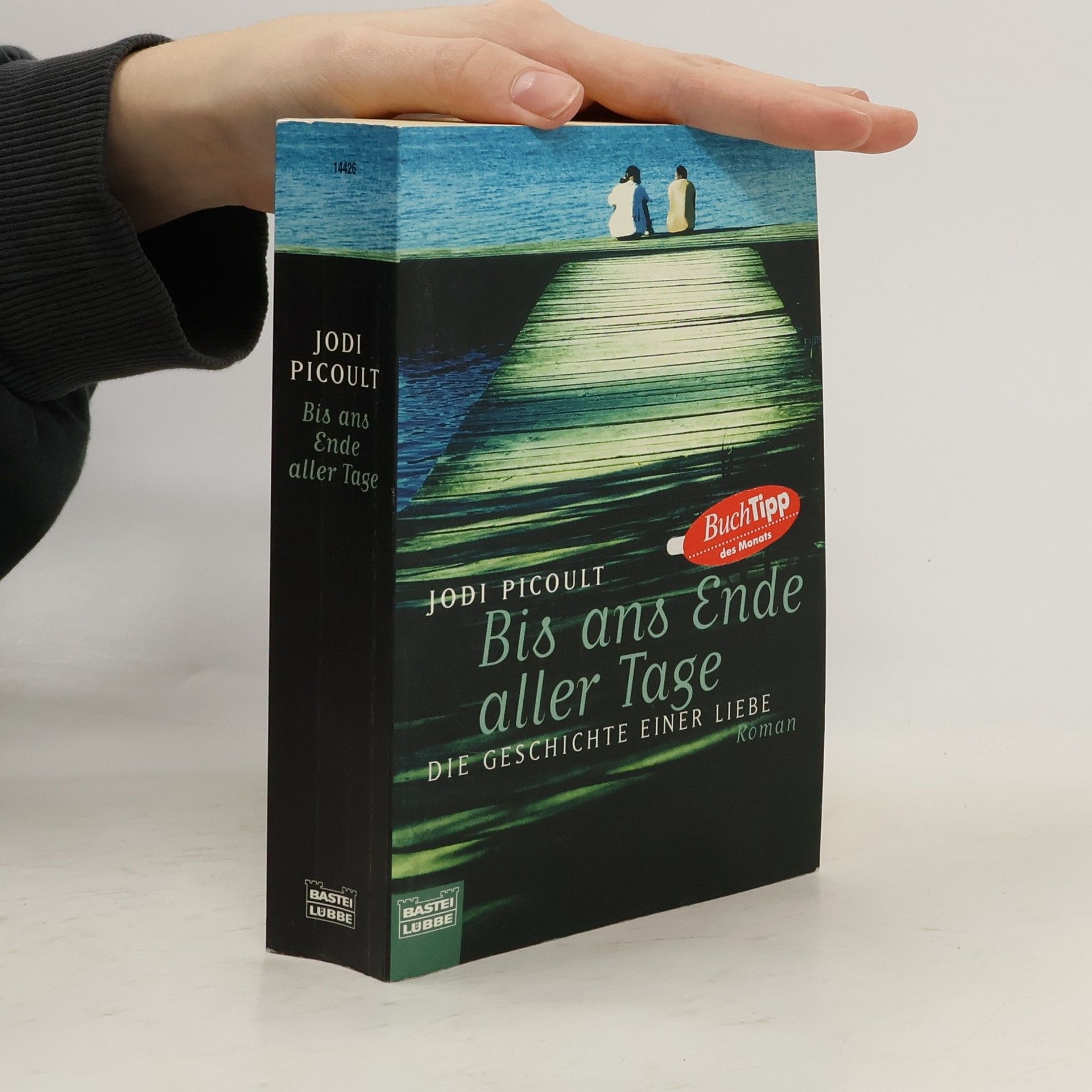 Jodi Picoult Bis ans Ende aller Tage