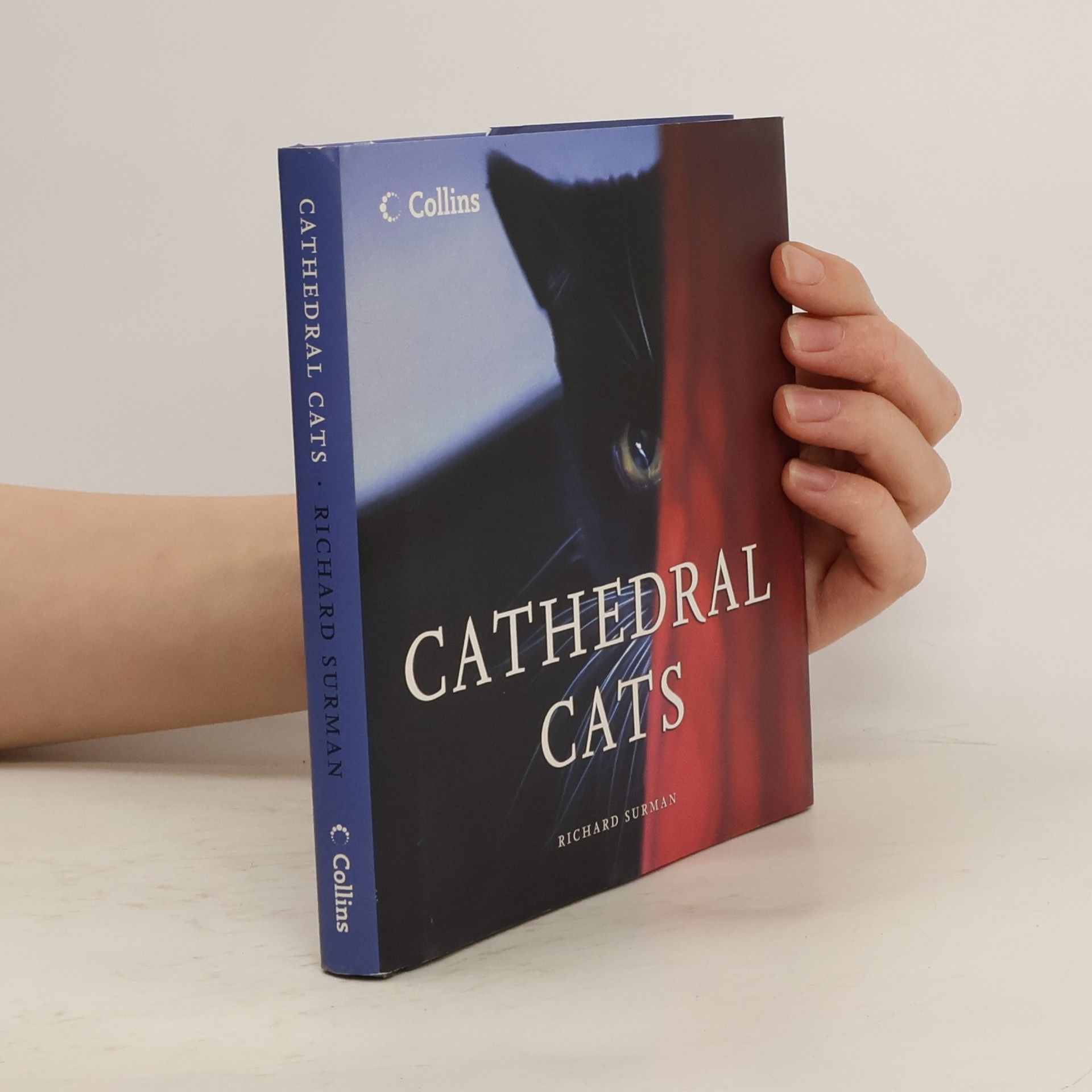 Richard Surman Cathedral Cats
