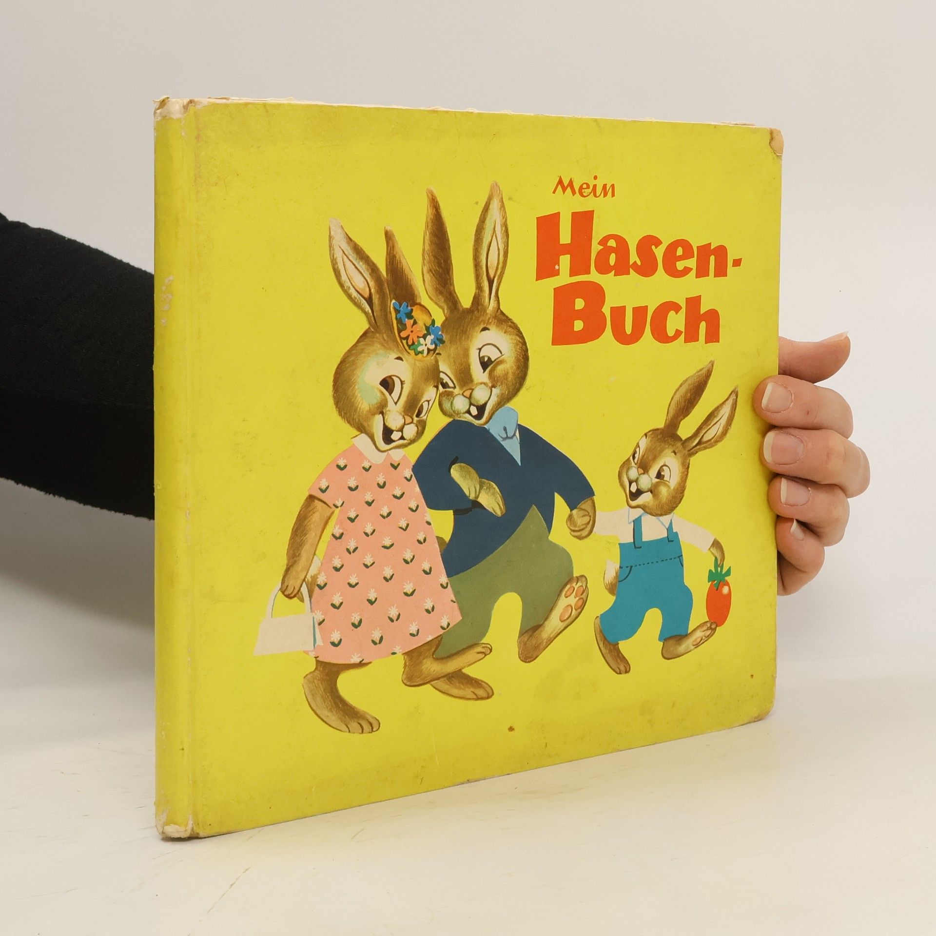 Collectif d'auteurs Mein Hasenbuch