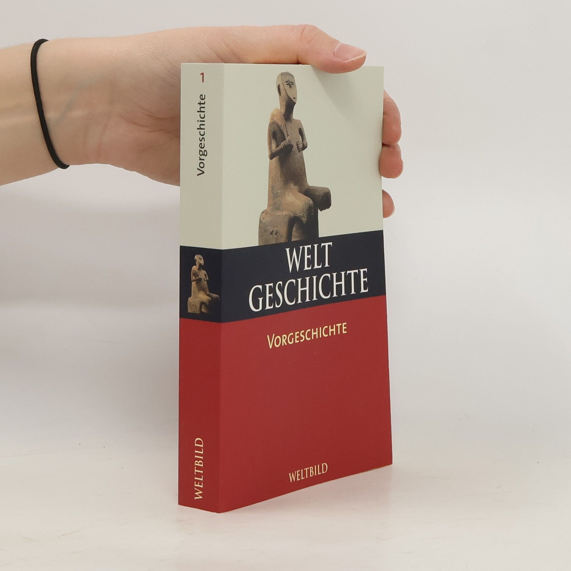 Collectif d'auteurs Welt Geschichte. Vorgeschichte