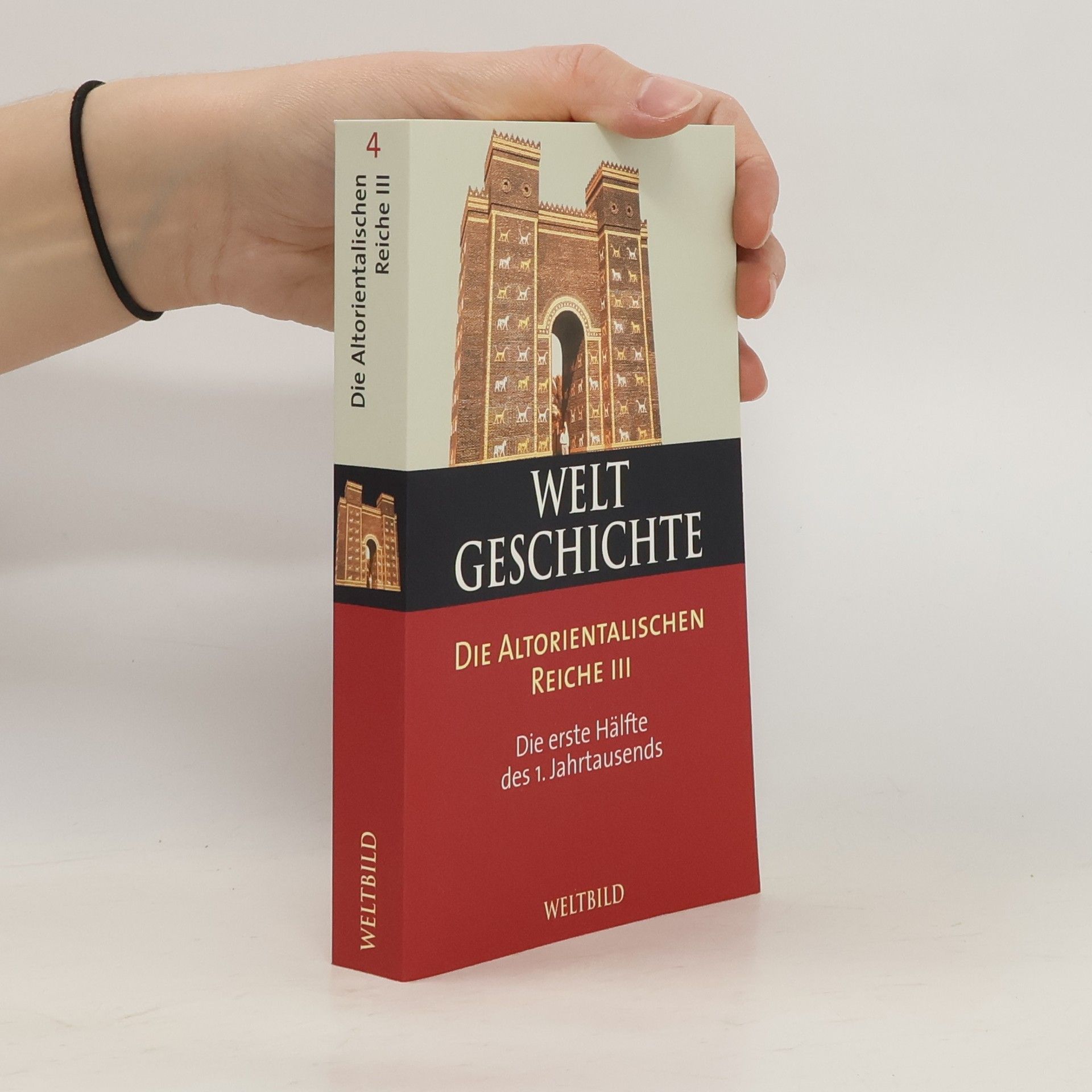 Collectif d'auteurs Weltgeschichte 4. Die Altorientalischen Reiche III