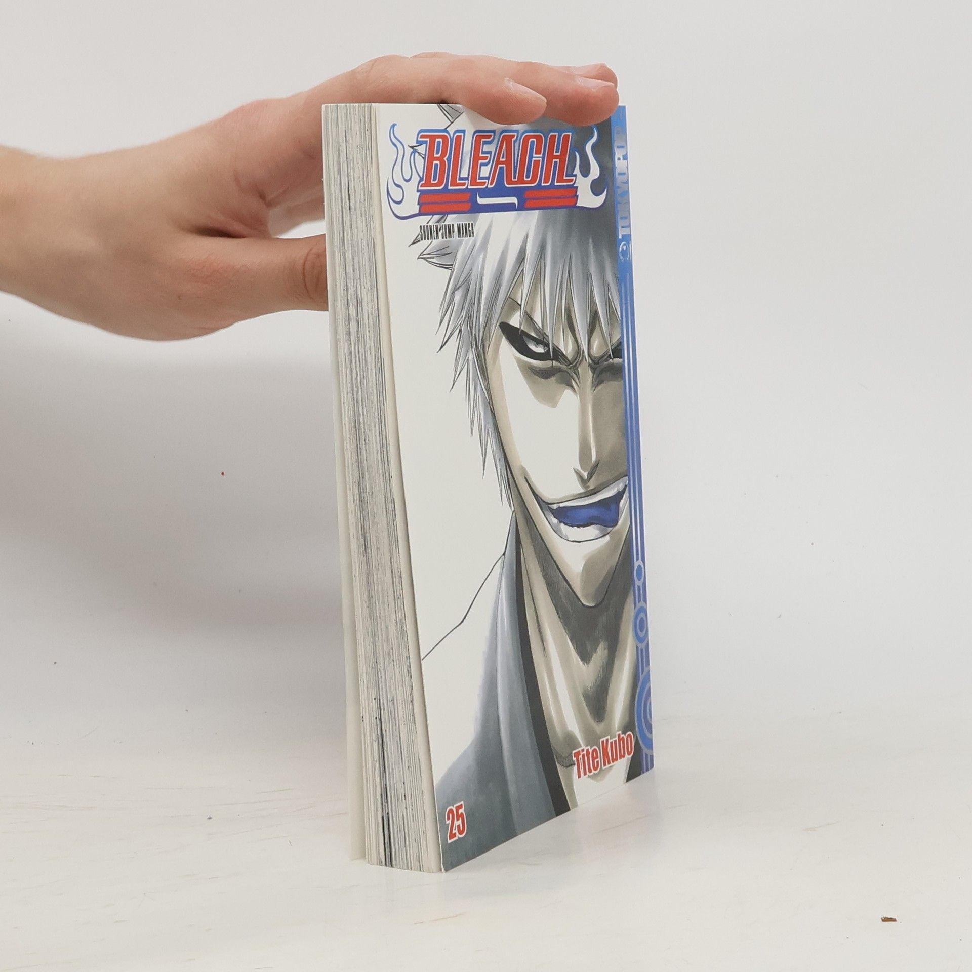 Tite Kubo Bleach 25