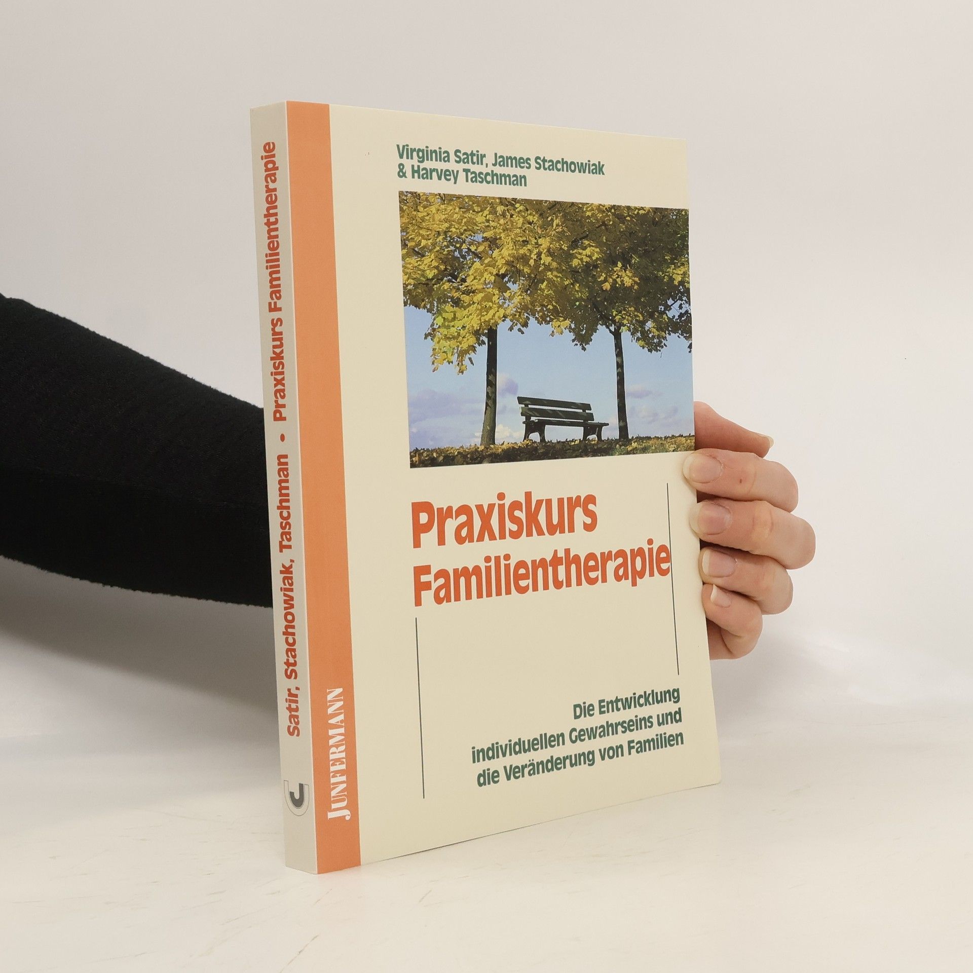 Virginia Satir Praxiskurs Familientherapie