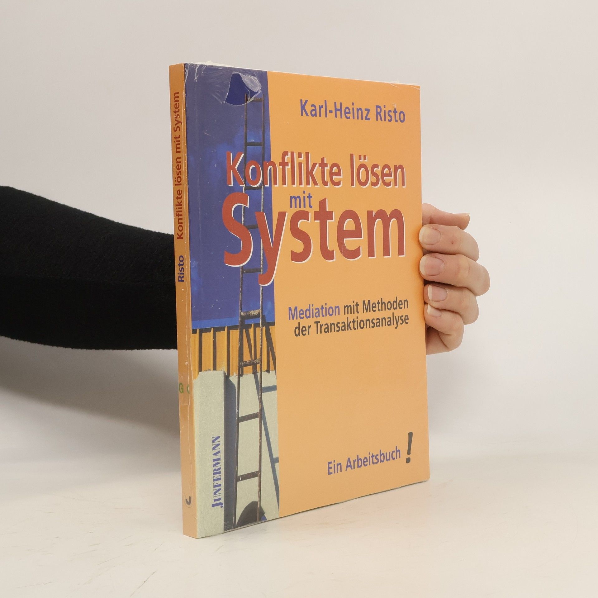 Karl Heinz Risto Konflikte lösen mit System