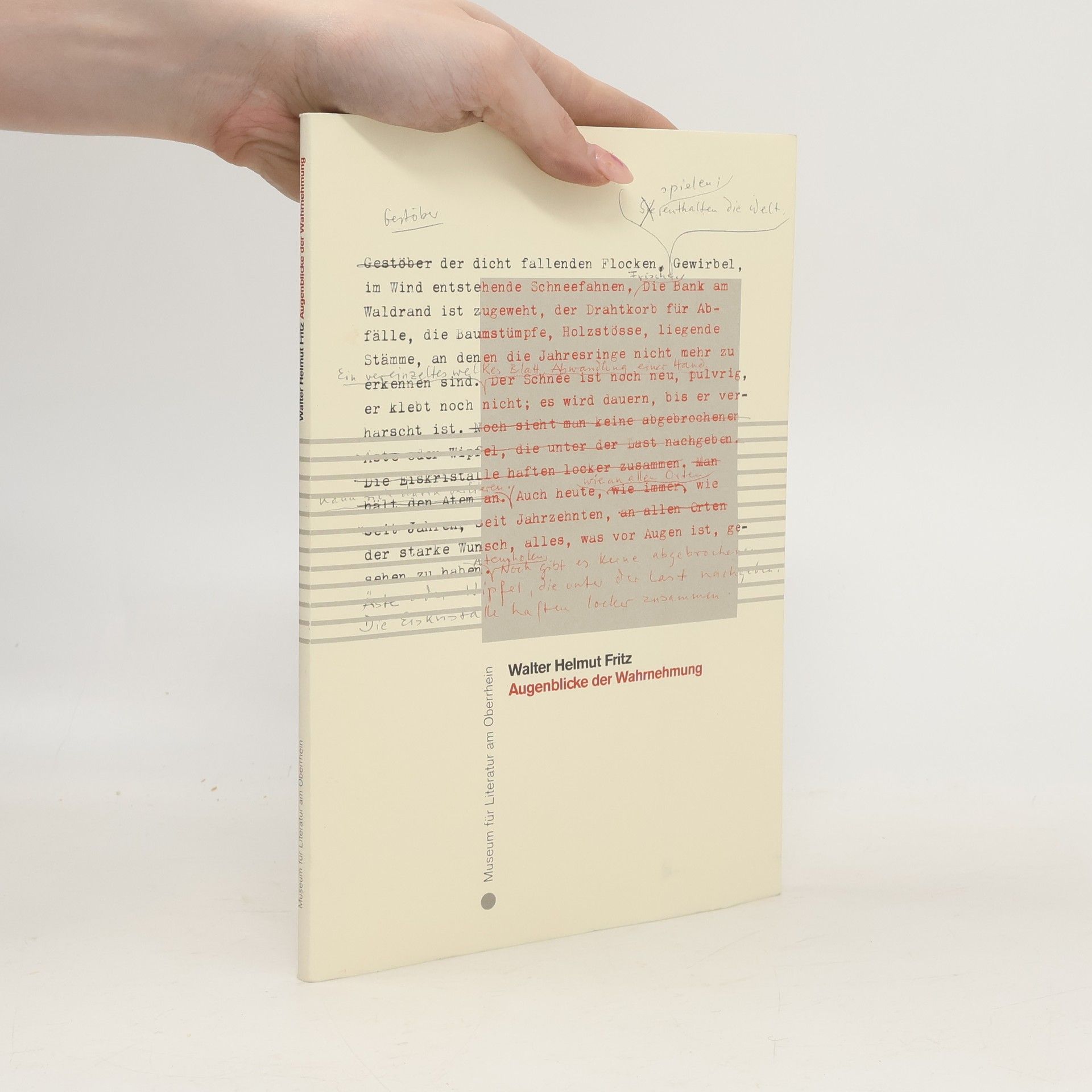 Walter Helmut Fritz - Augenblicke der Wahrnehmung