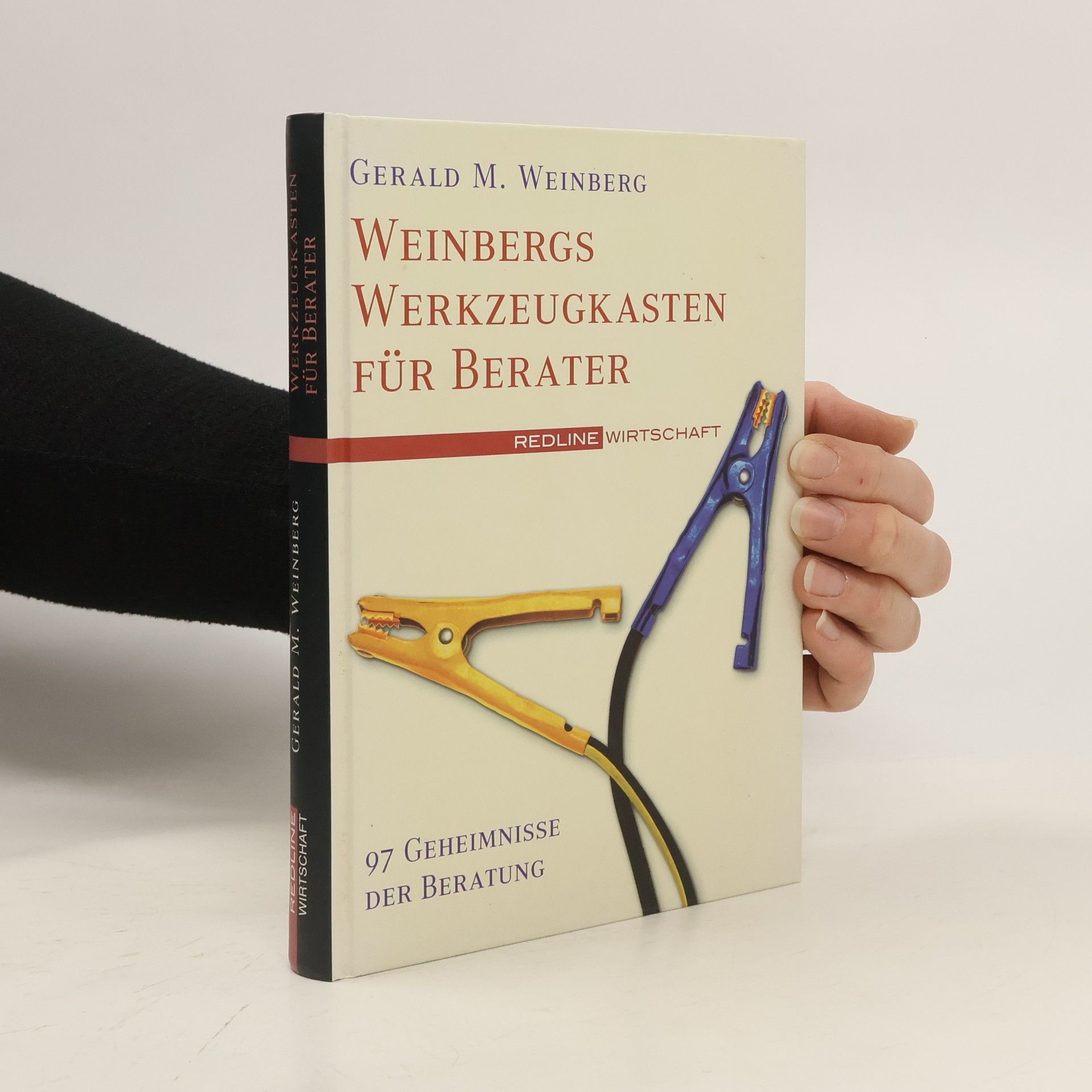 Gerald M. Weinberg Weinbergs Werkzeugkasten für Berater