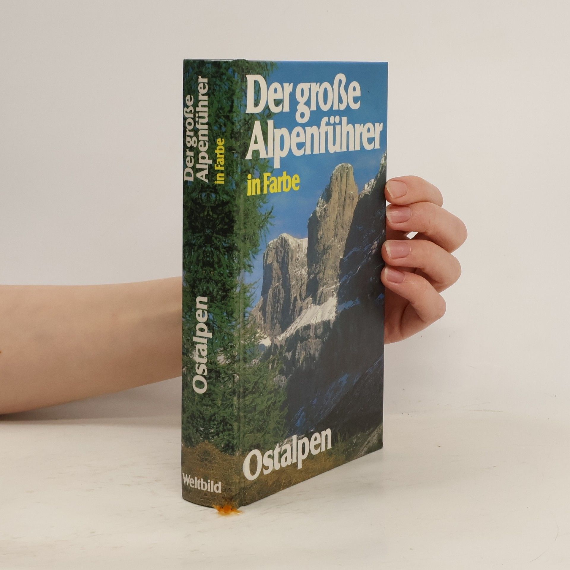 Collectif d'auteurs Der große Alpenführer in Farbe. Ostalpen