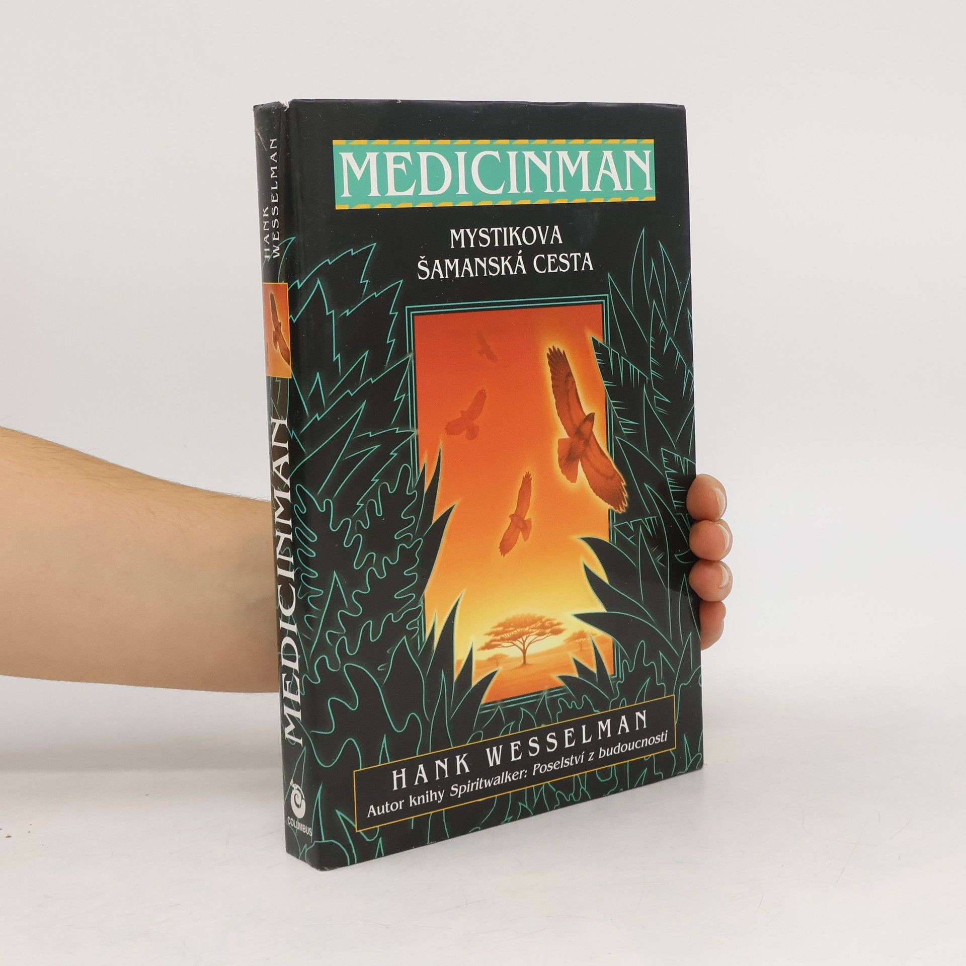 Hank Wesselman Medicinman. Mystik se vydává na šamanskou cestu