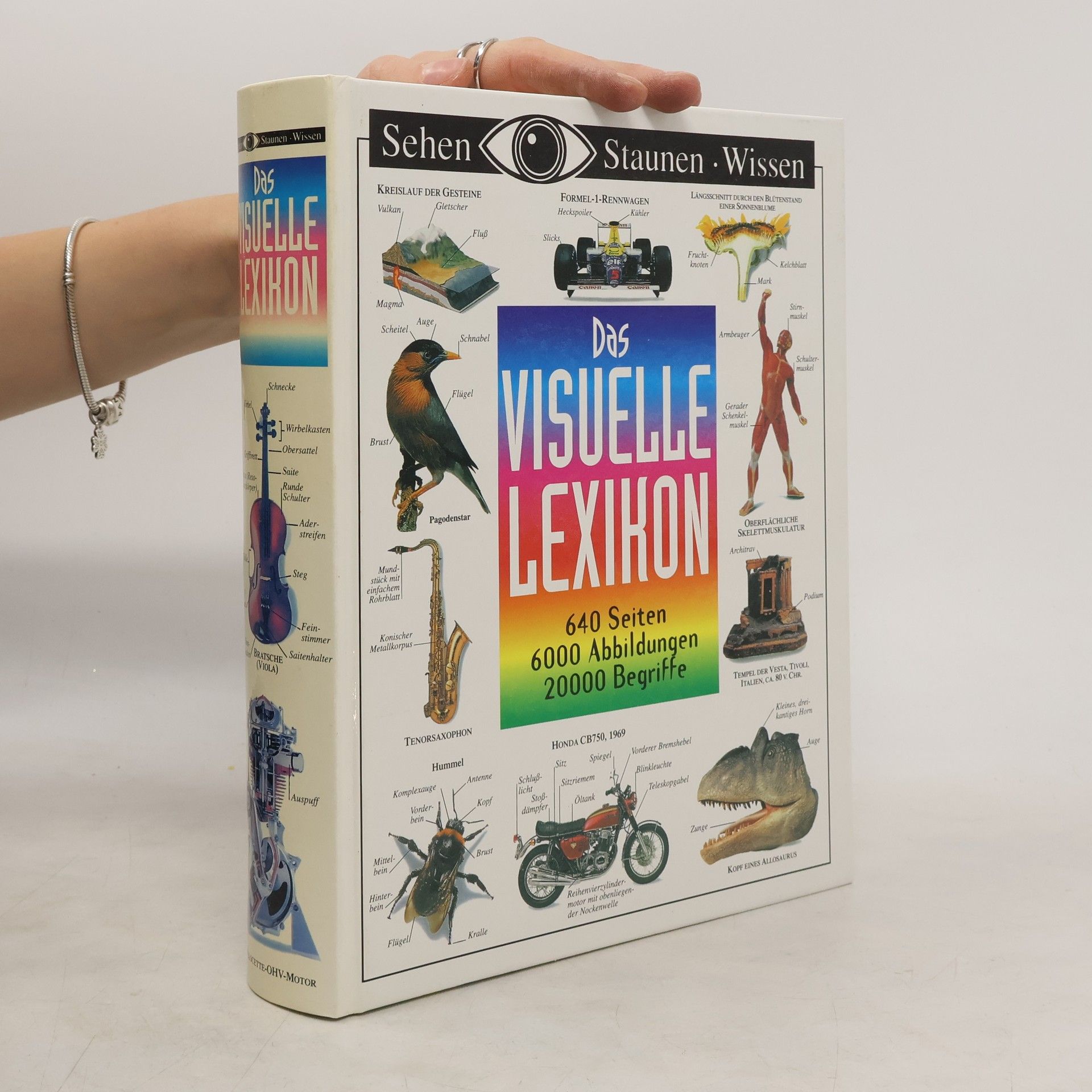 AA.VV. Das visuelle Lexikon