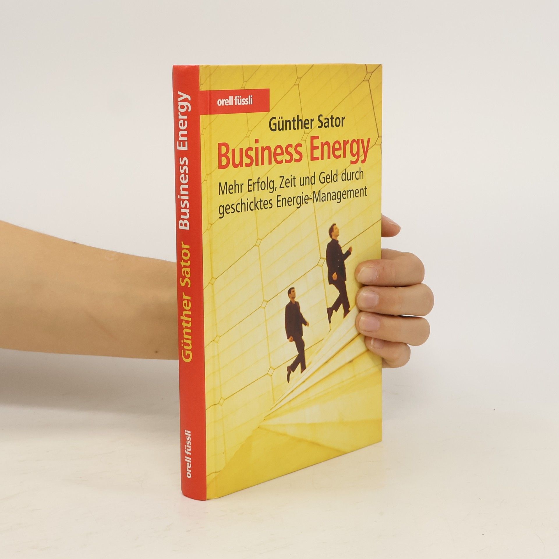 Günther Sator Business energy