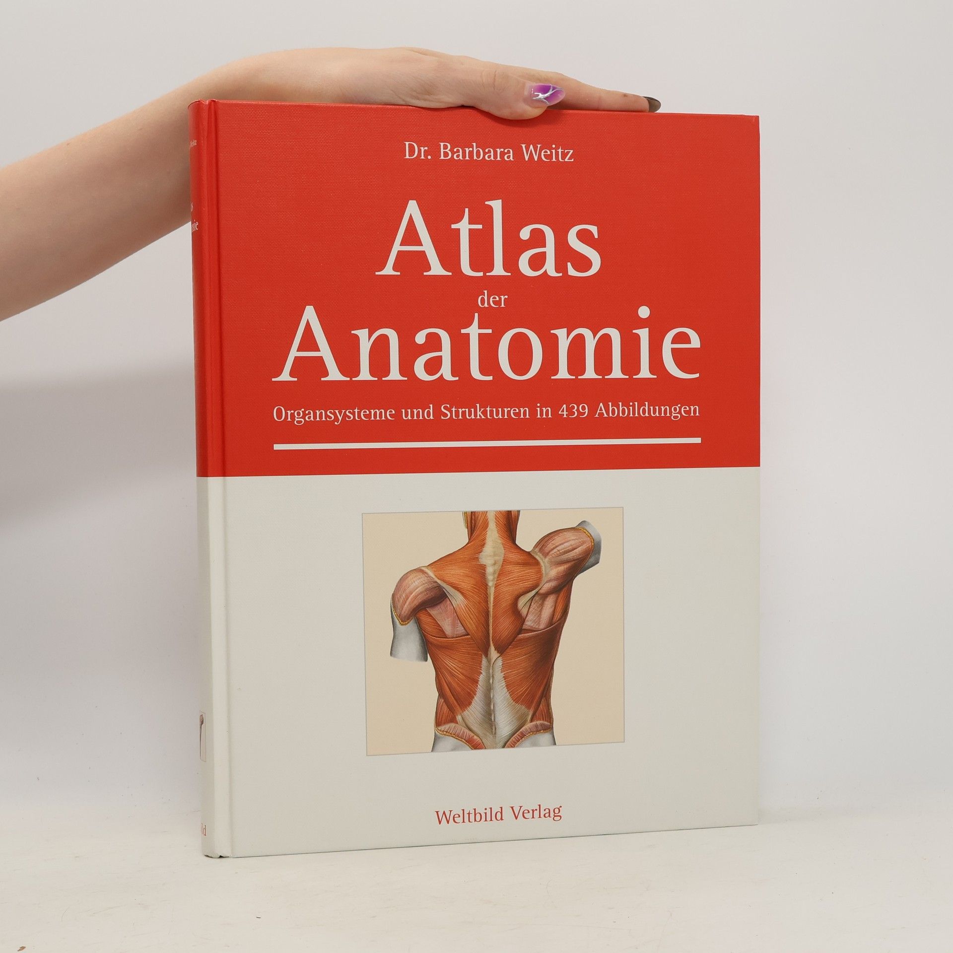 Barbara Weitz Atlas der Anatomie