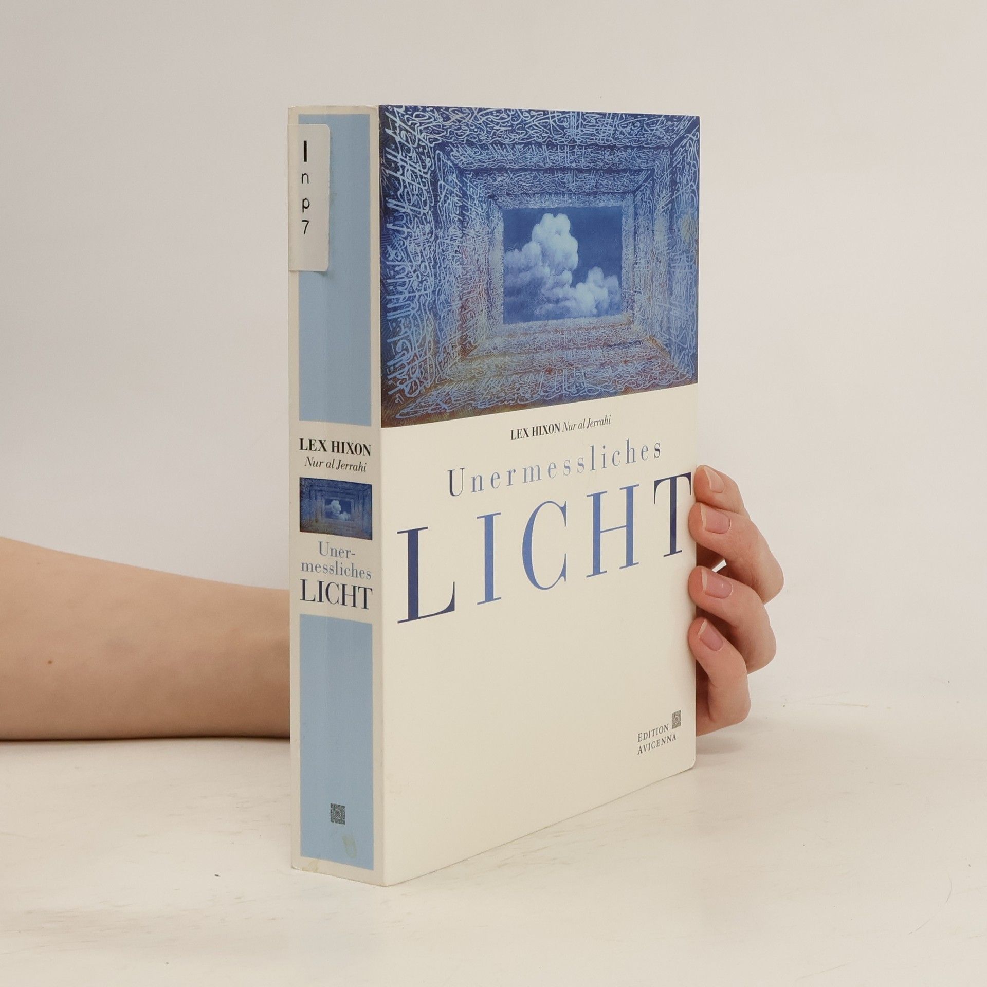 Lex Hixon Unermessliches Licht