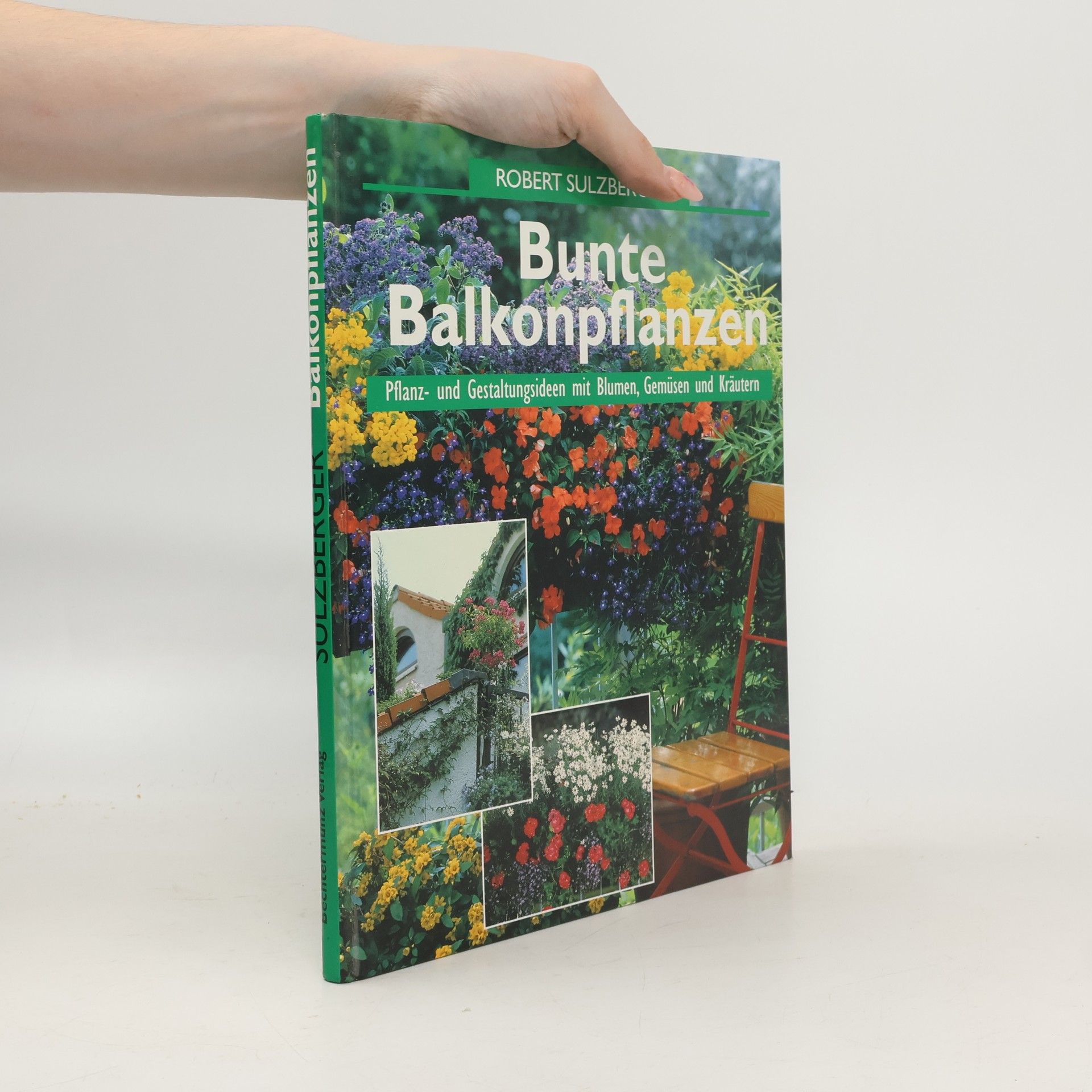Bunte Balkonpflanzen