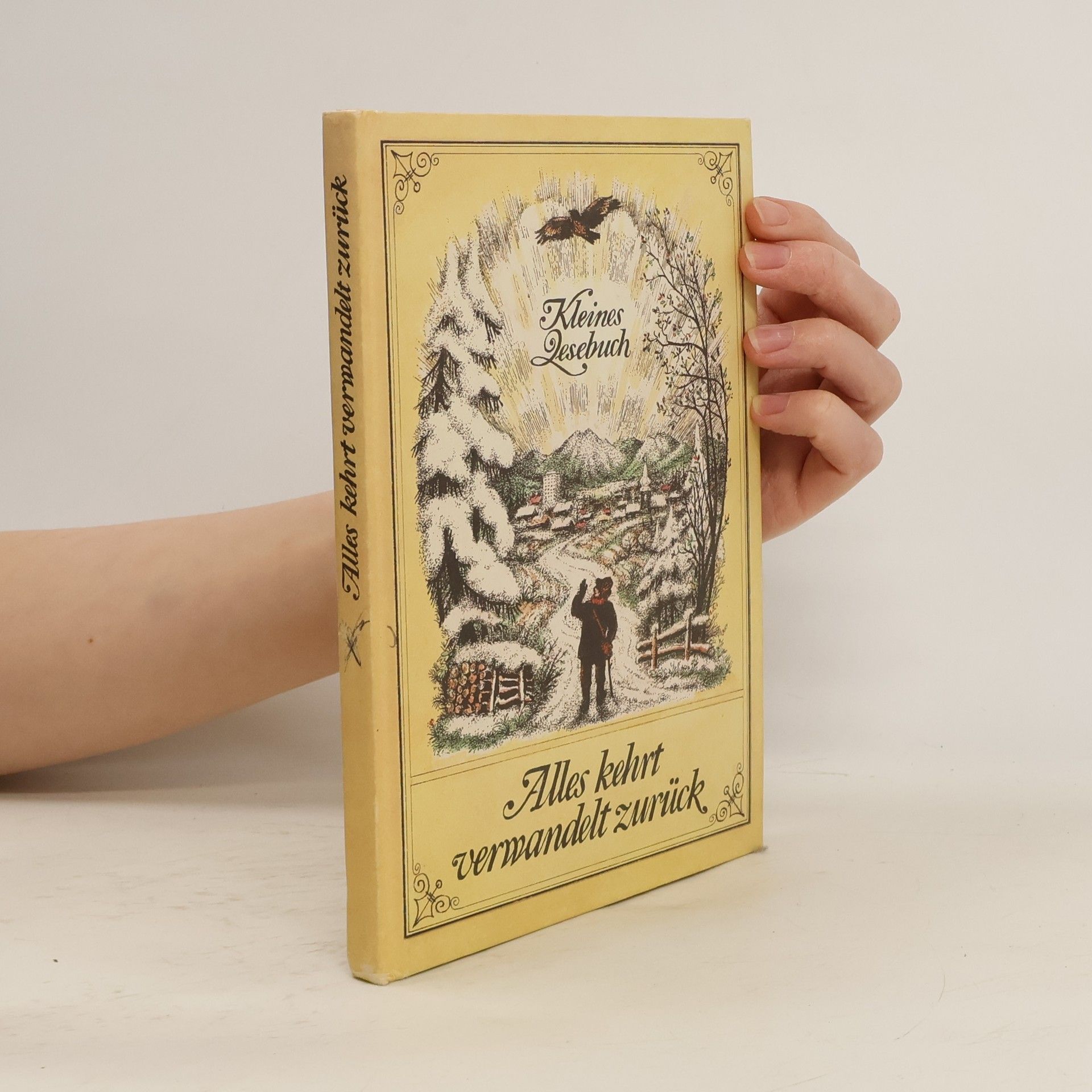 Kolektiv autorů Alles kehrt verwandelt zurück