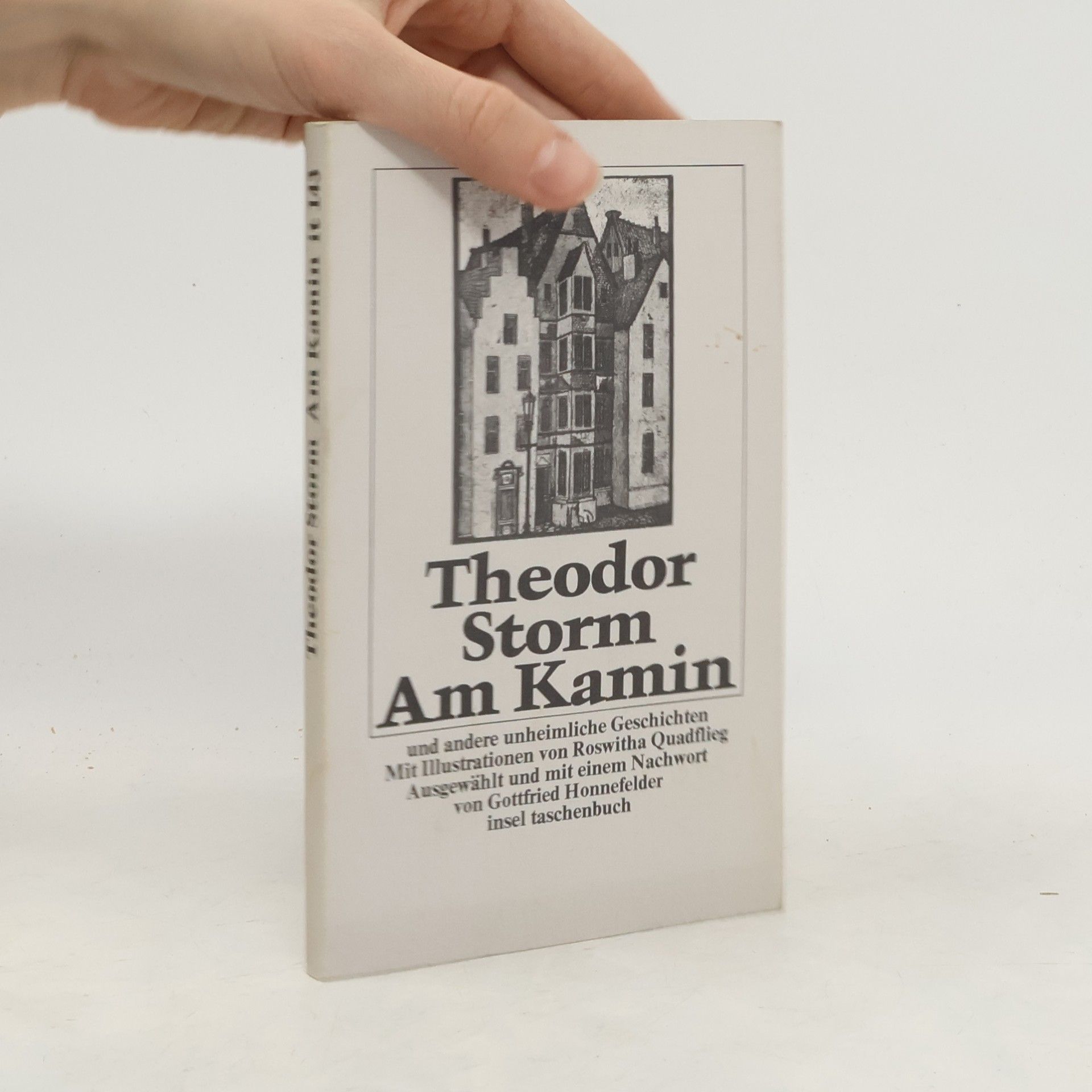 Theodor Storm Am Kamin und andere unheimliche Geschichten