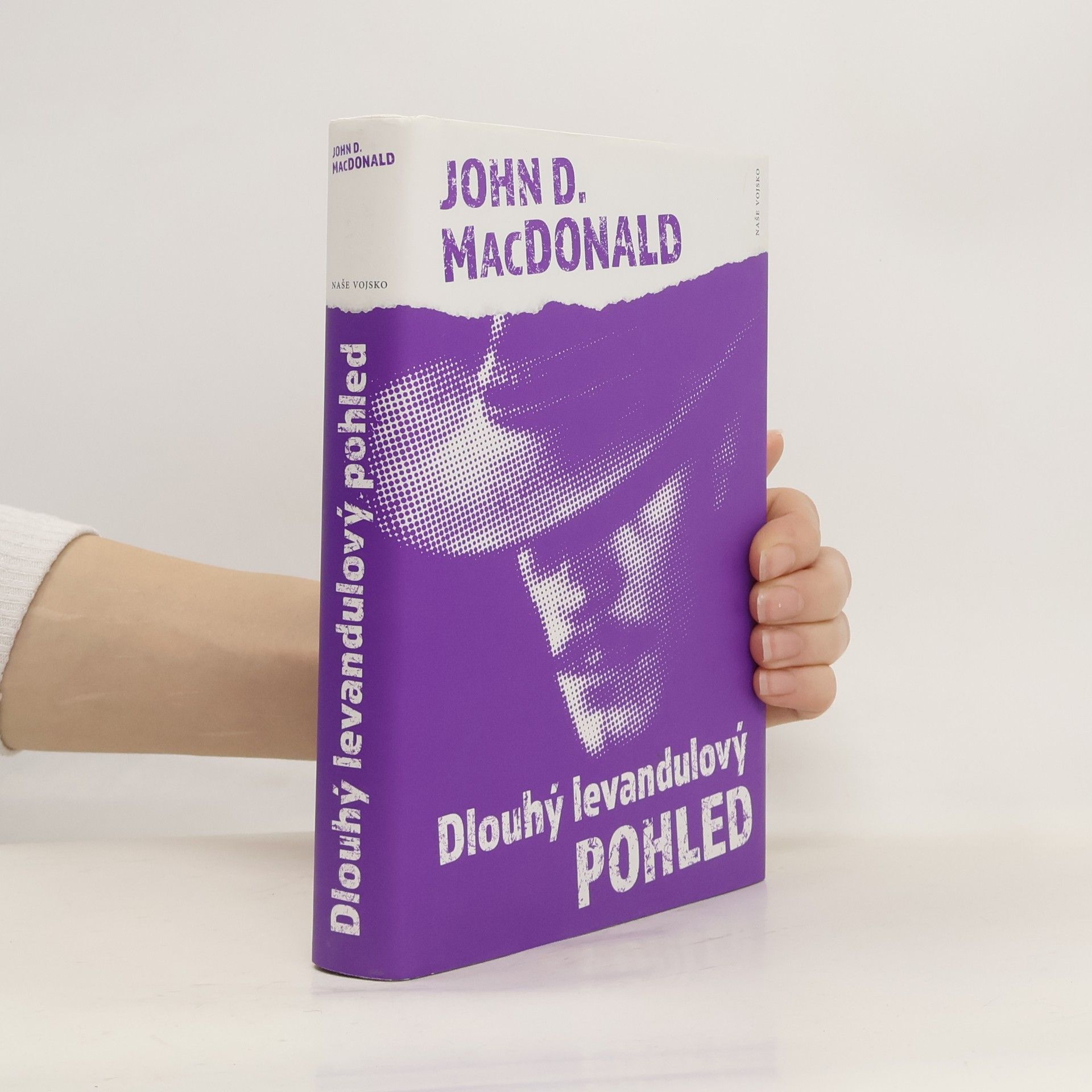 Pavel Medek Dlouhý levandulový pohled