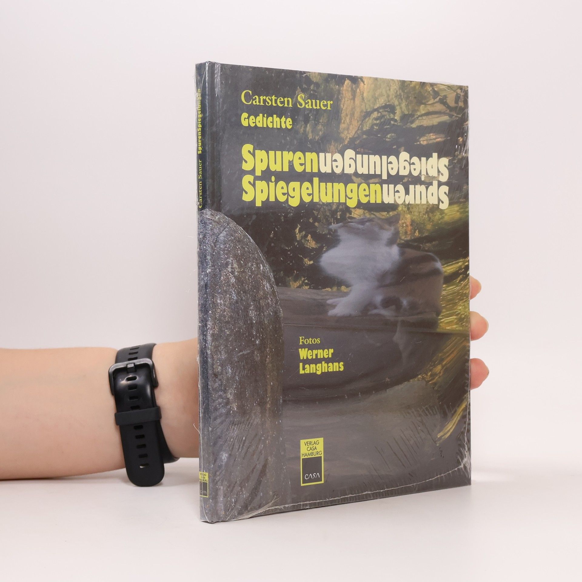 Carsten Sauer Spuren, Spiegelungen