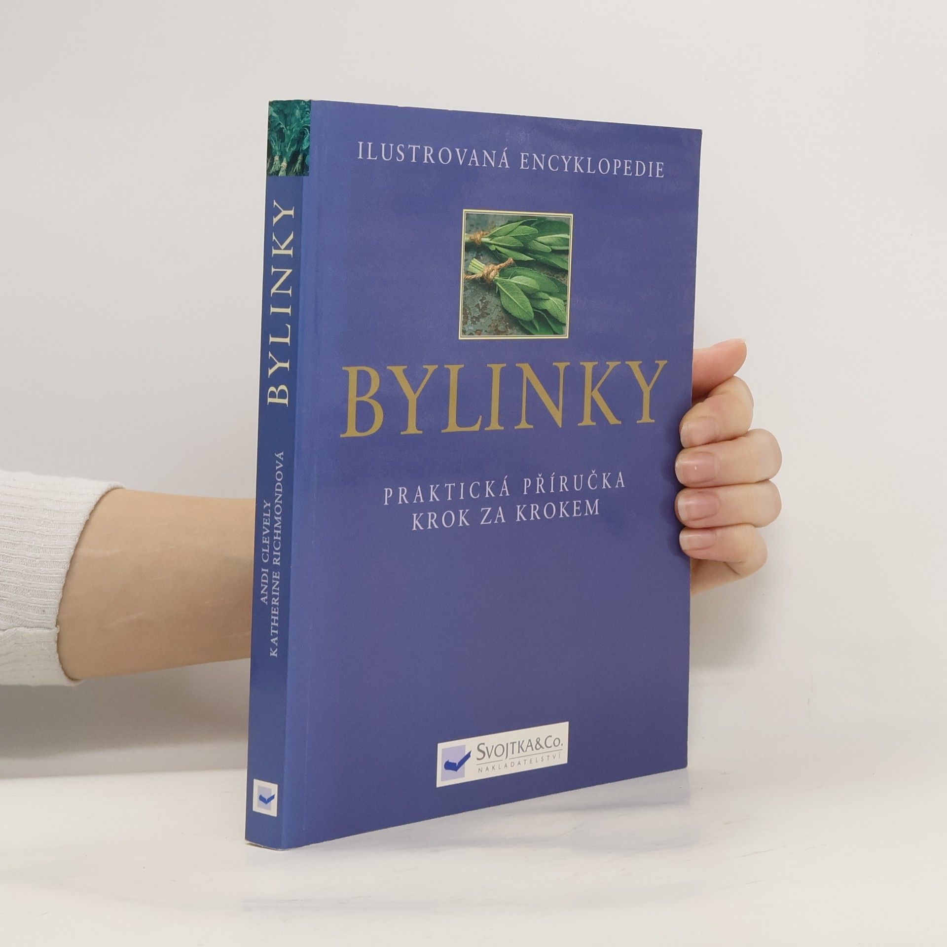 Bylinky