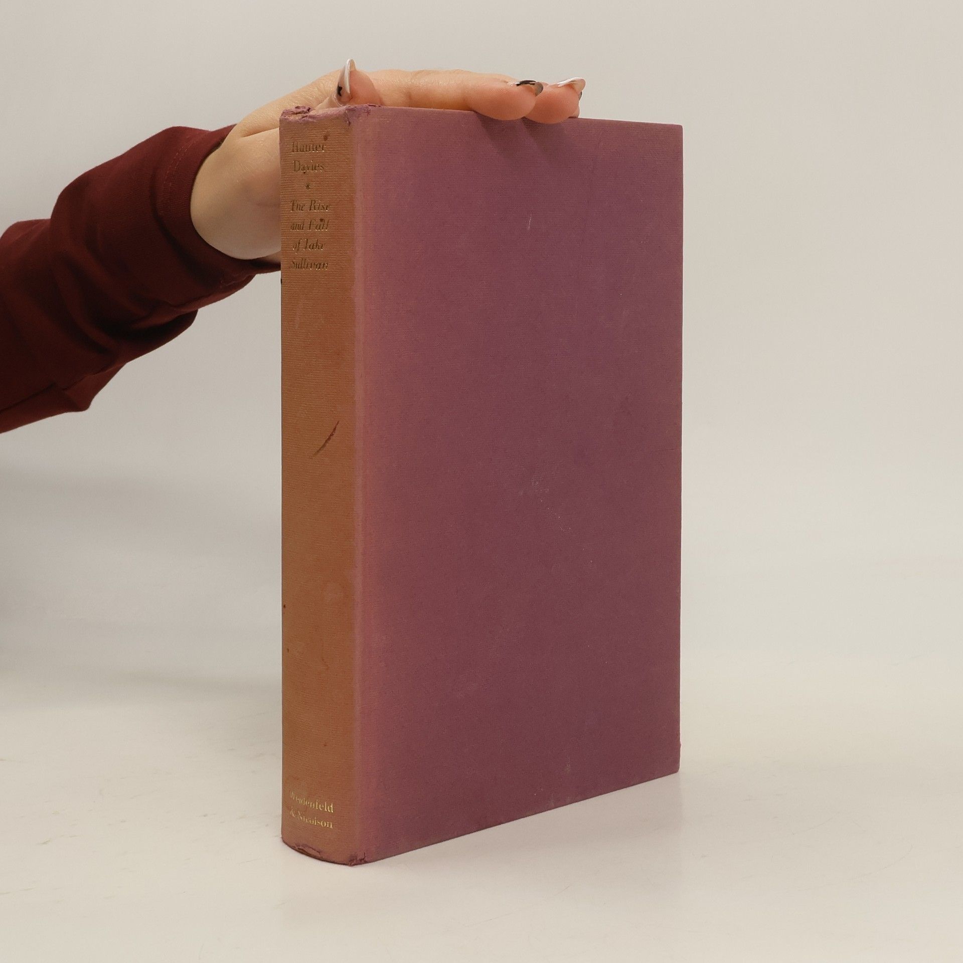 Hunter Davies The Rise and Fall of Jake Sullivan by