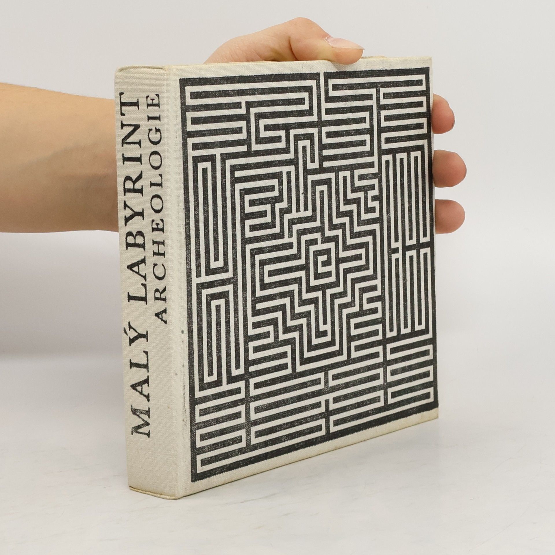 Arsén Pohribný Malý labyrint výtvarného umění