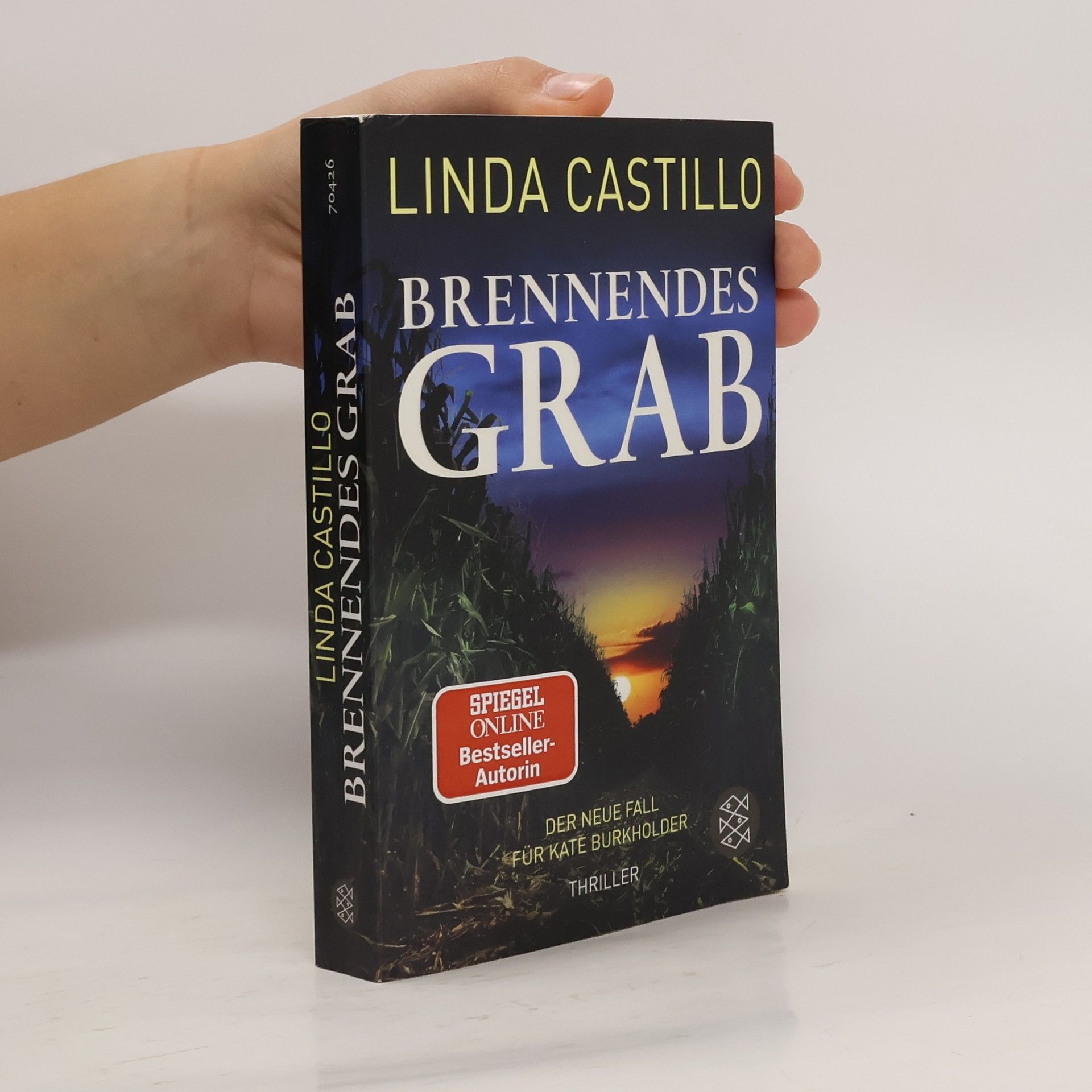 Linda Castillo Brennendes Grab