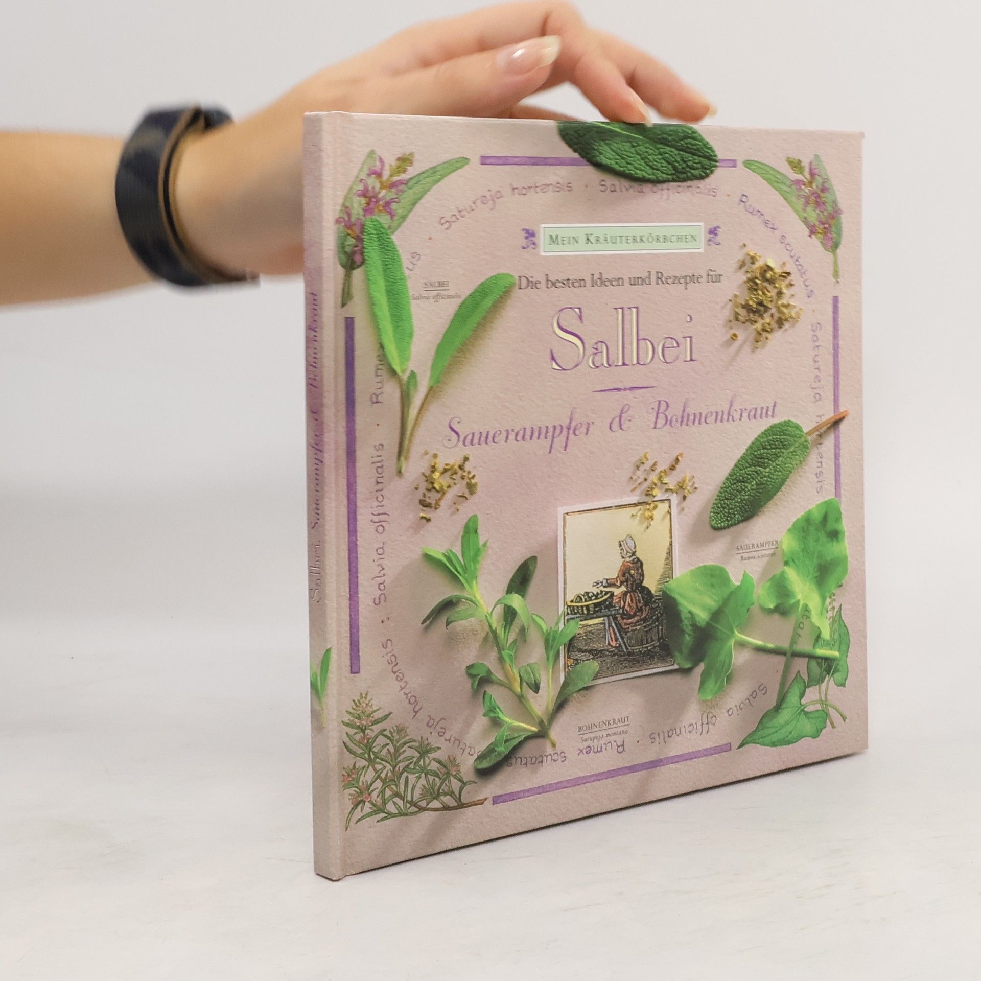 Die besten Ideen und Rezepte für Salbei, Sauerampfer und Bohnenkraut.