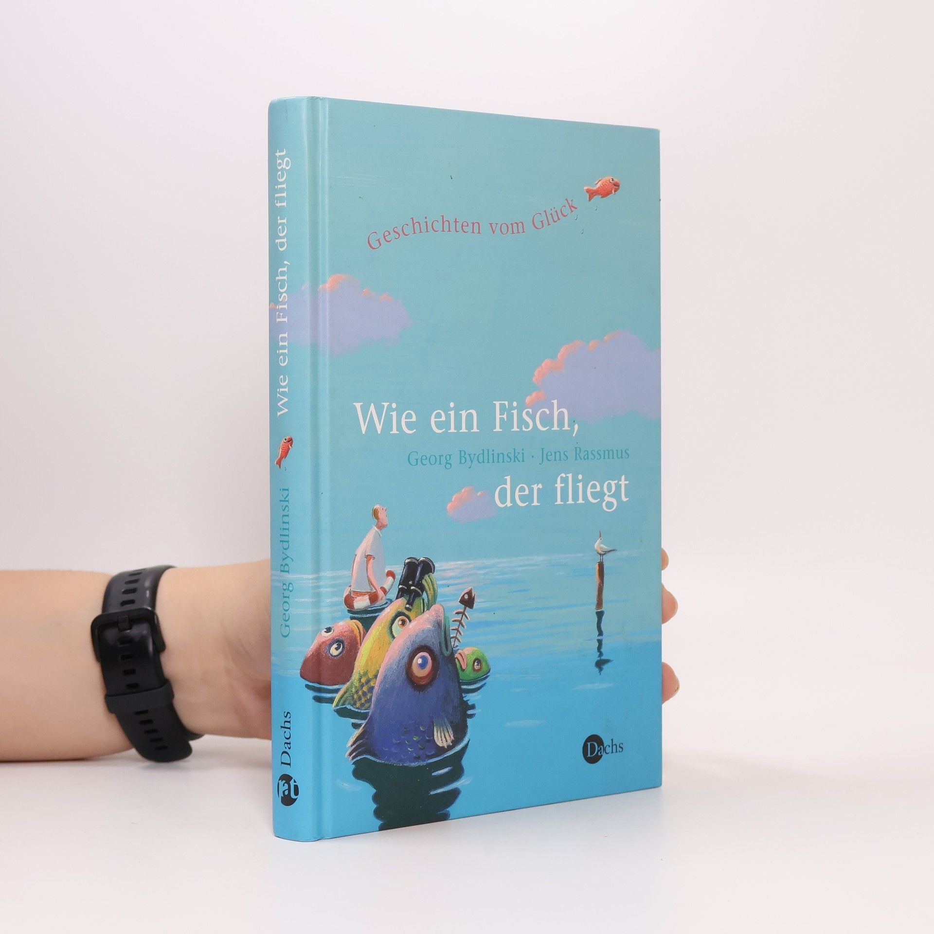 Jens Rassmus Wie ein Fisch, der fliegt