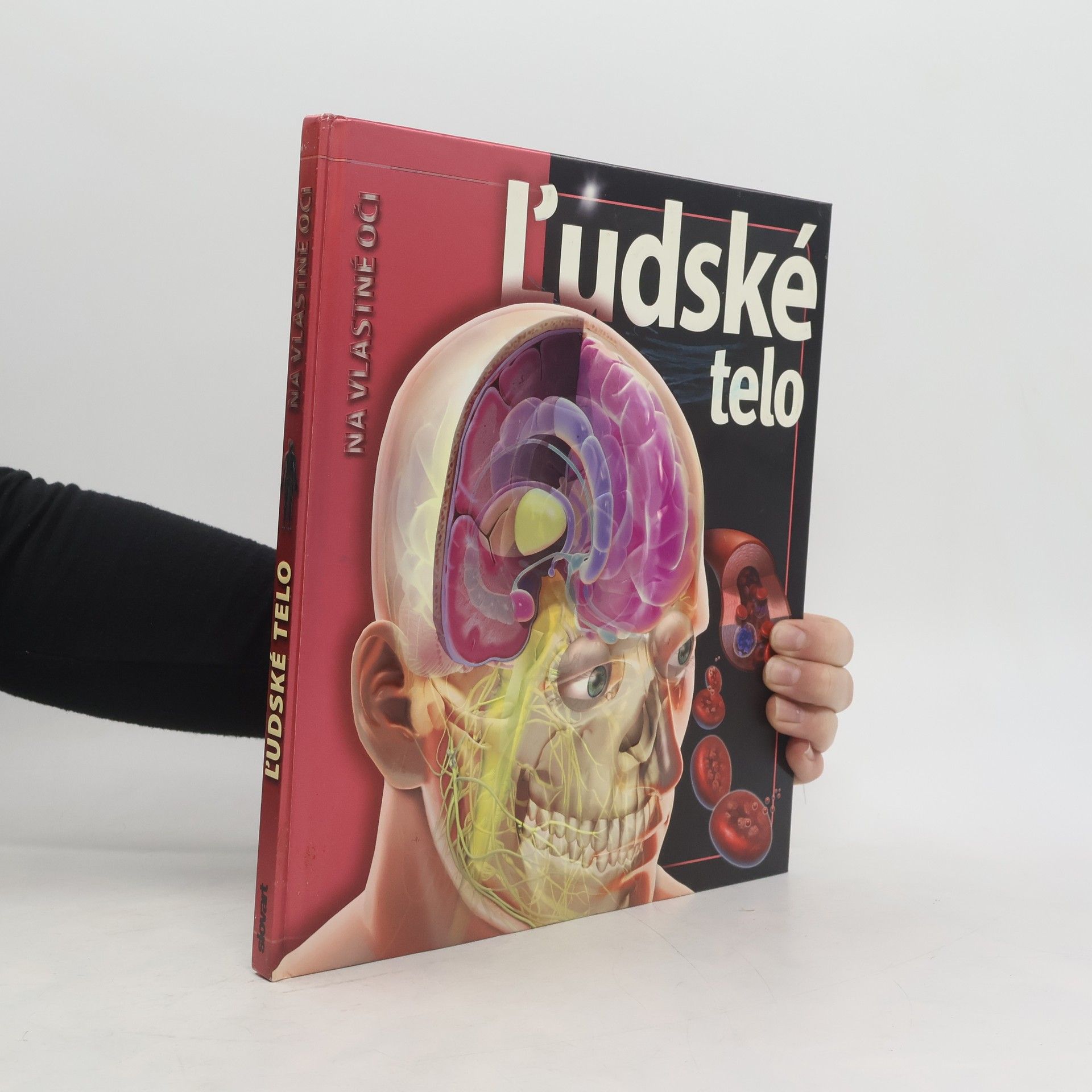 Linda Calabresi Ľudské telo