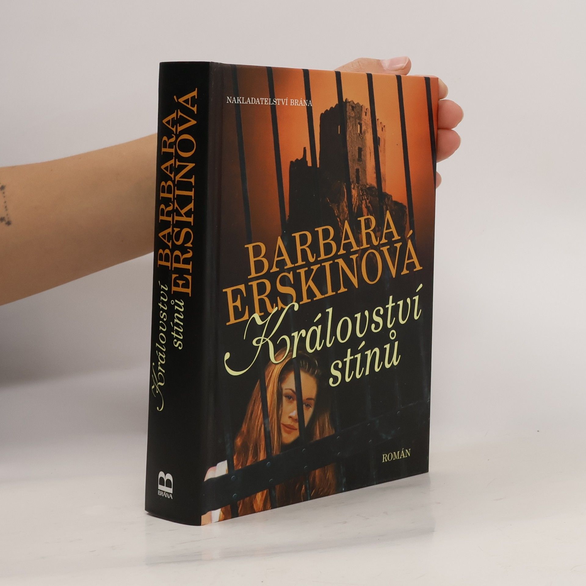 Barbara Erskine Království stínů : román