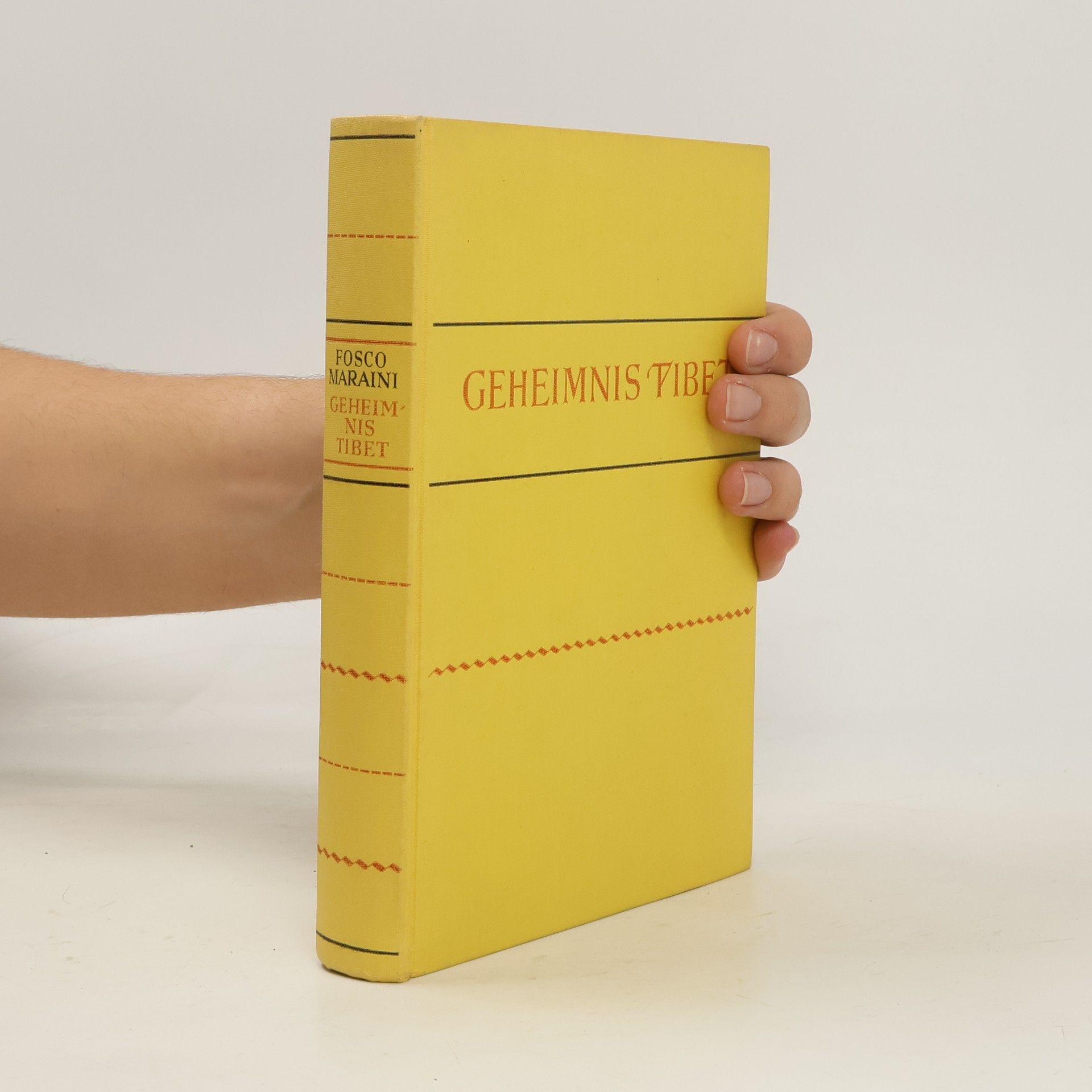 Kolektív autorov Geheimnis Tibet