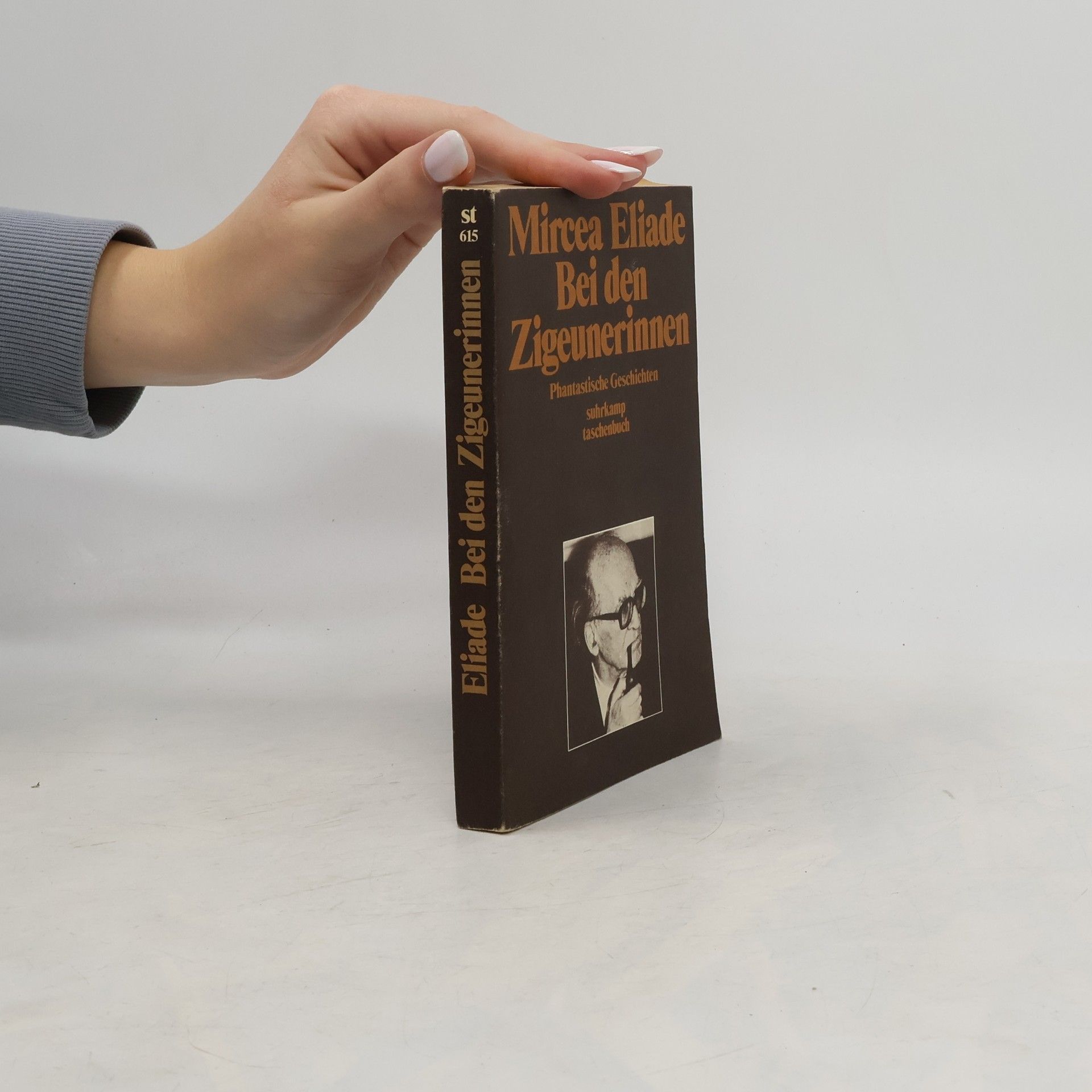 Mircea Eliade Bei den Zigeunerinnen