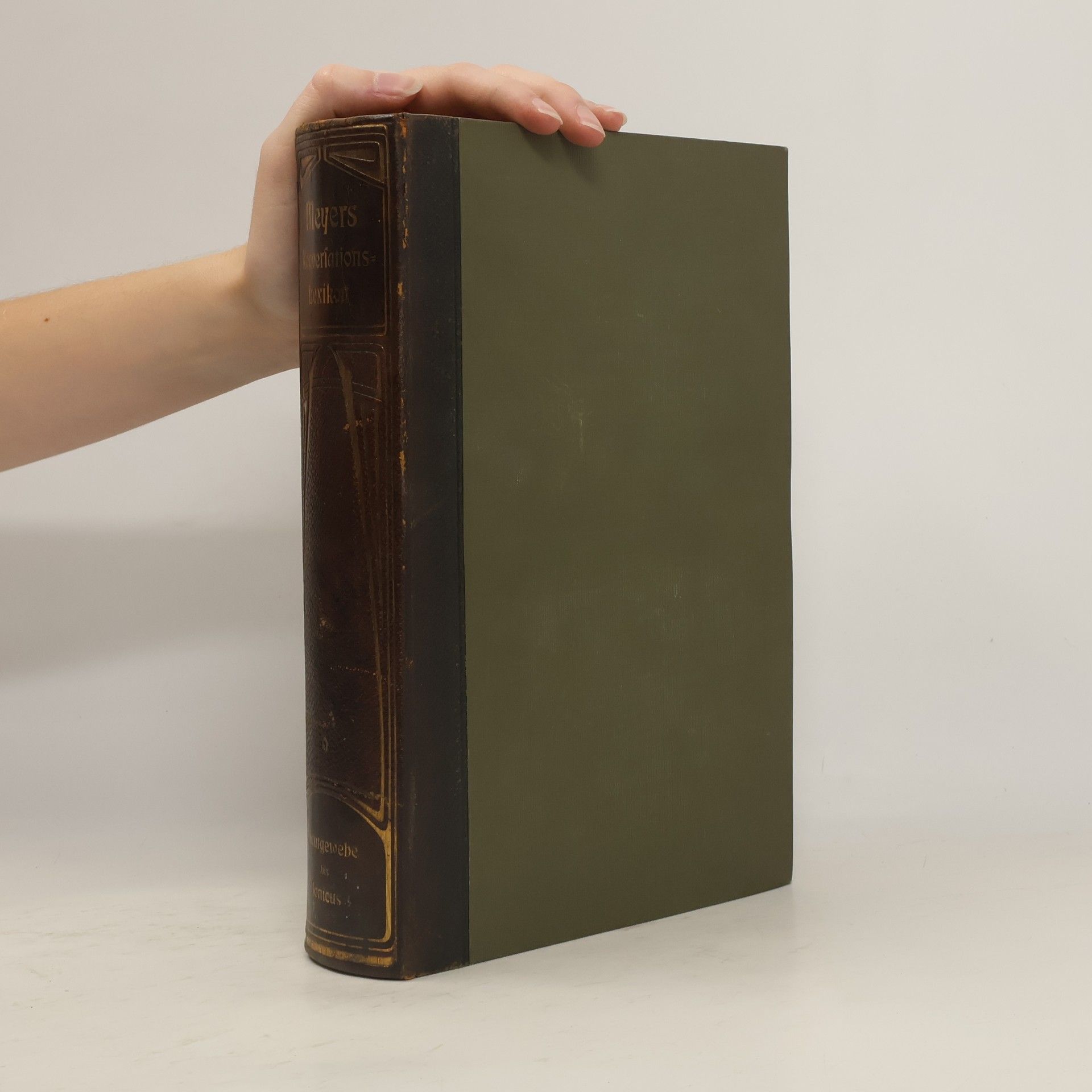 AA.VV. Meyers Großes Konversations-Lexikon 6