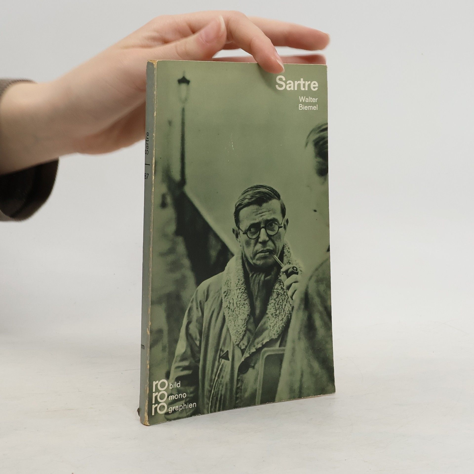 Walter Biemel Sartre