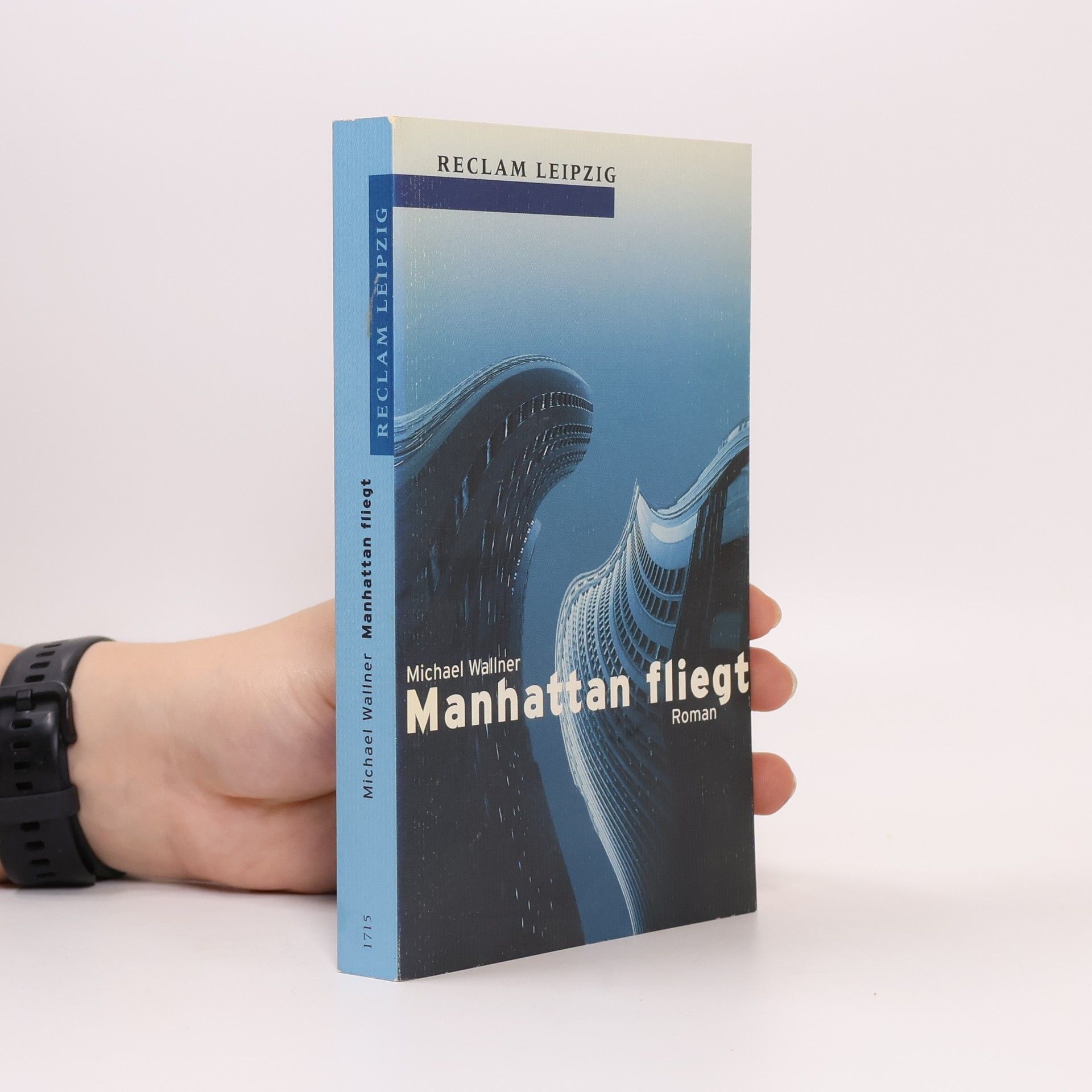 Michael Wallner Manhattan fliegt